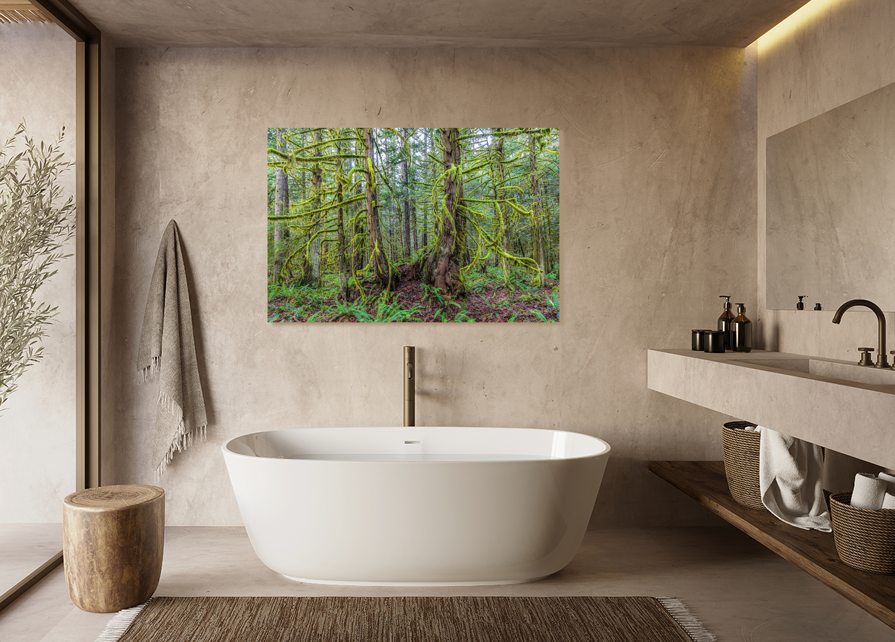 Mossy Forest 40x60"