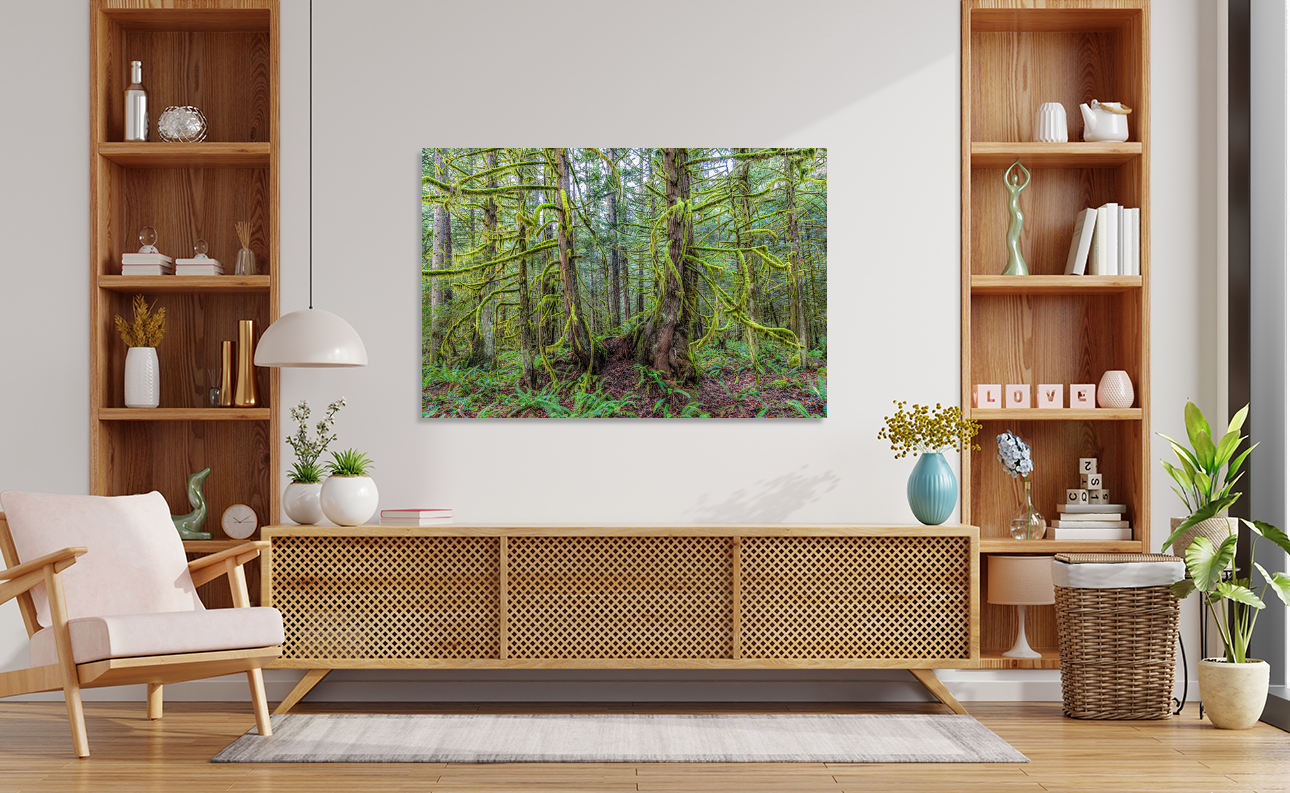Mossy Forest 40x60"