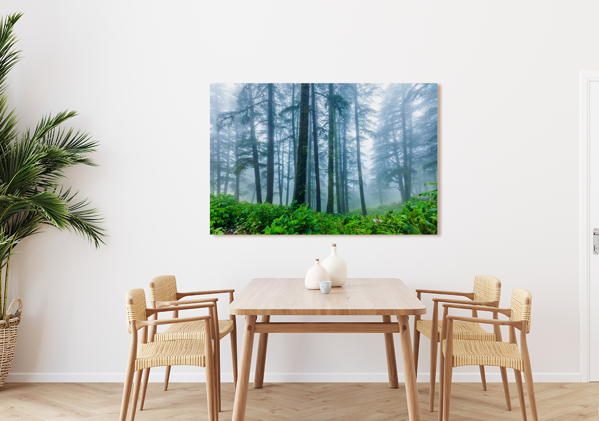 Spring Forest 40x60"
