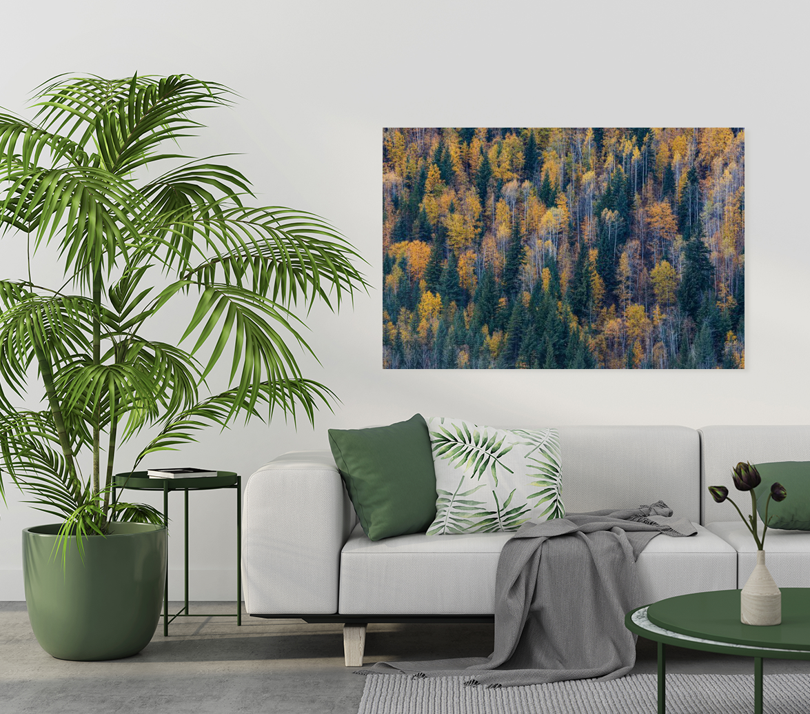 Autumn Palette 40x60"