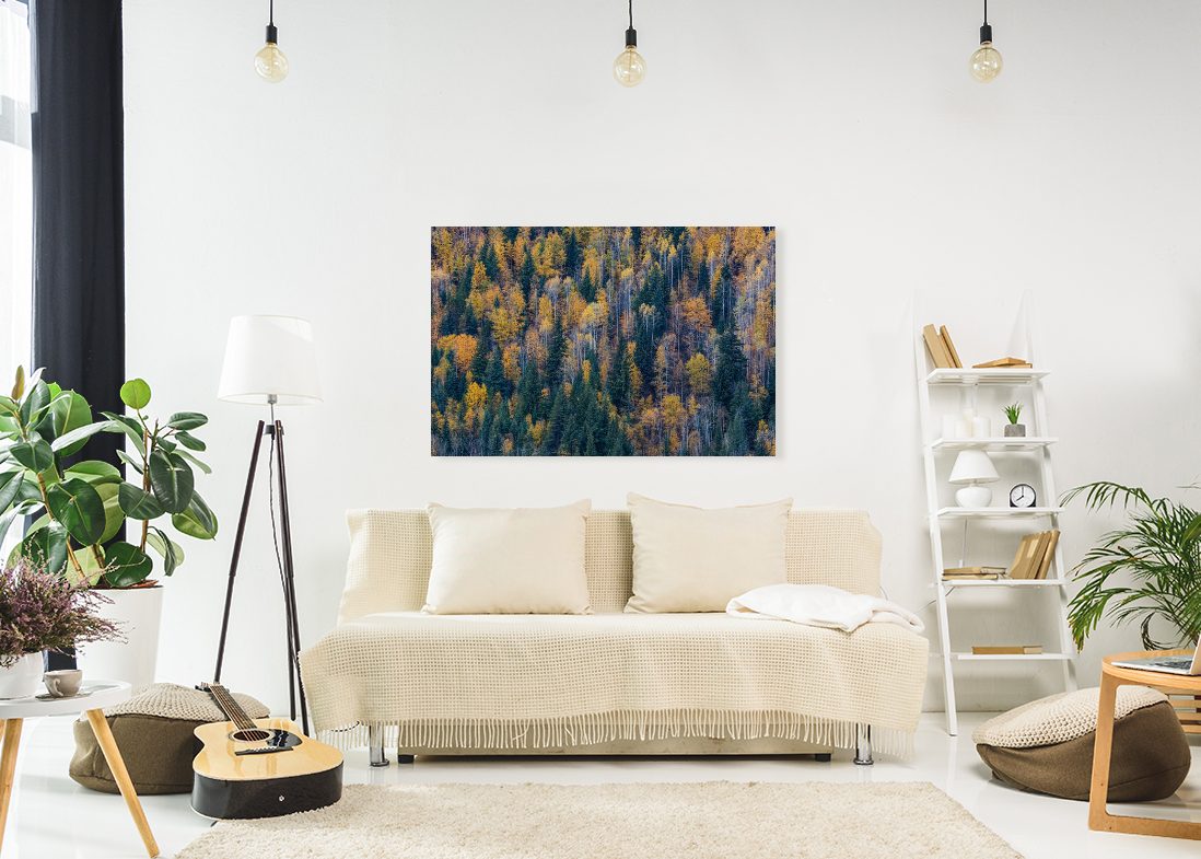 Autumn Palette 40x60"