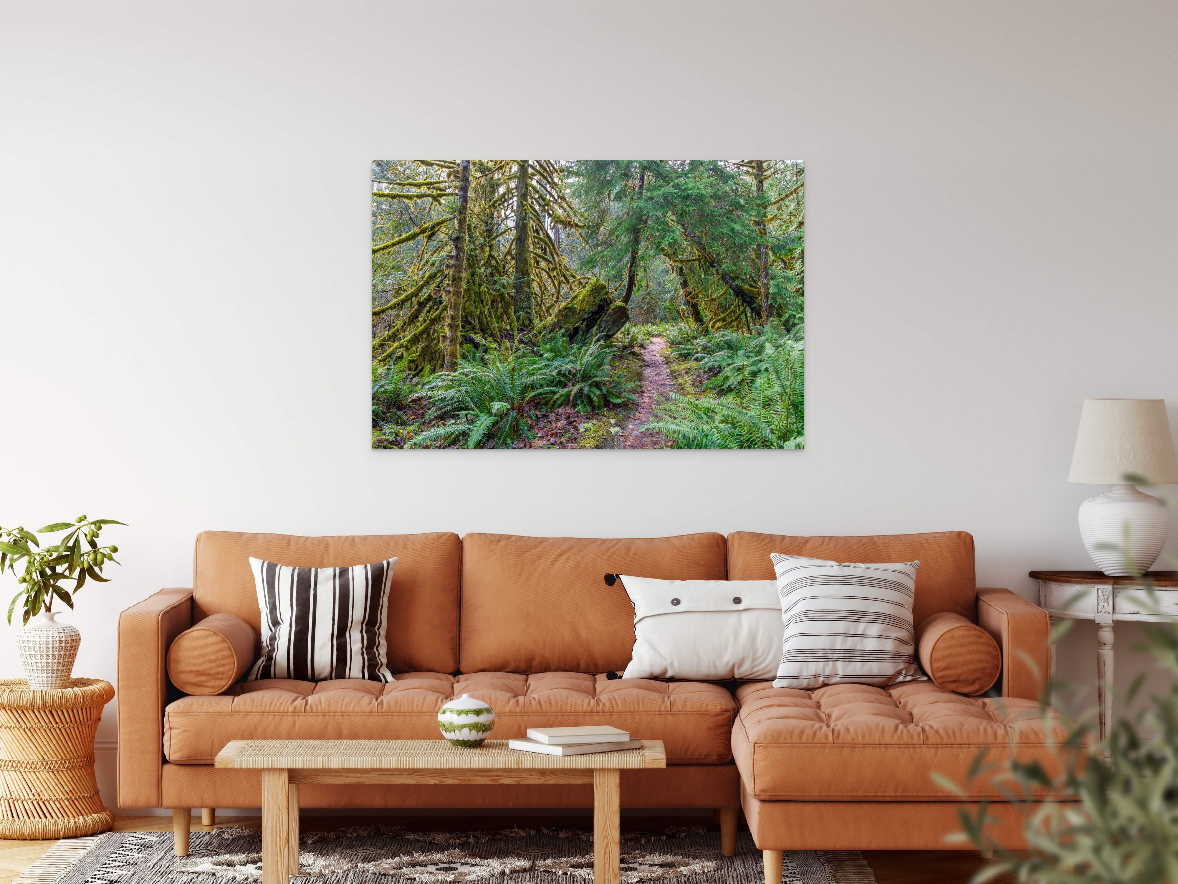 Rainforest Walk 40x60"