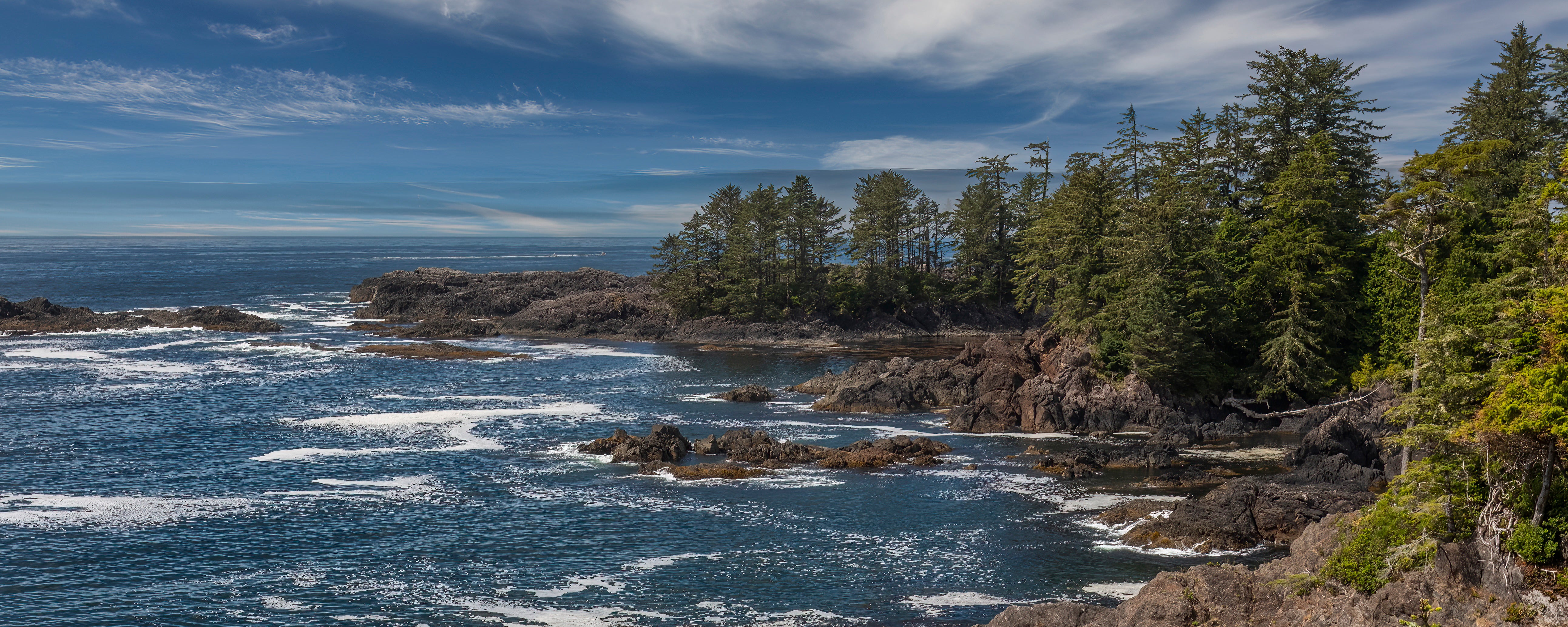 Windblown Wild Pacific Panorama 24x60"