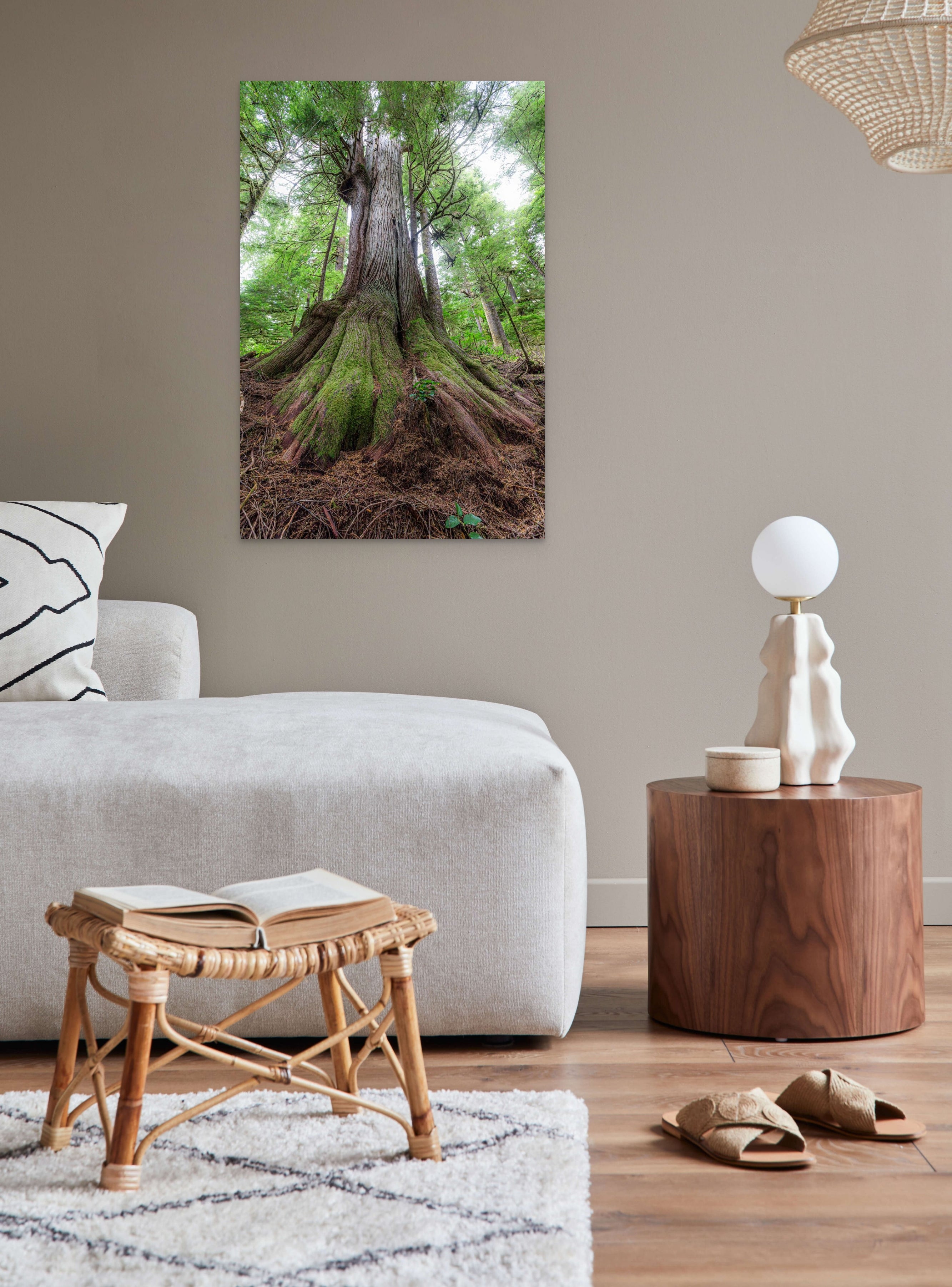 Rooted 24x36"
