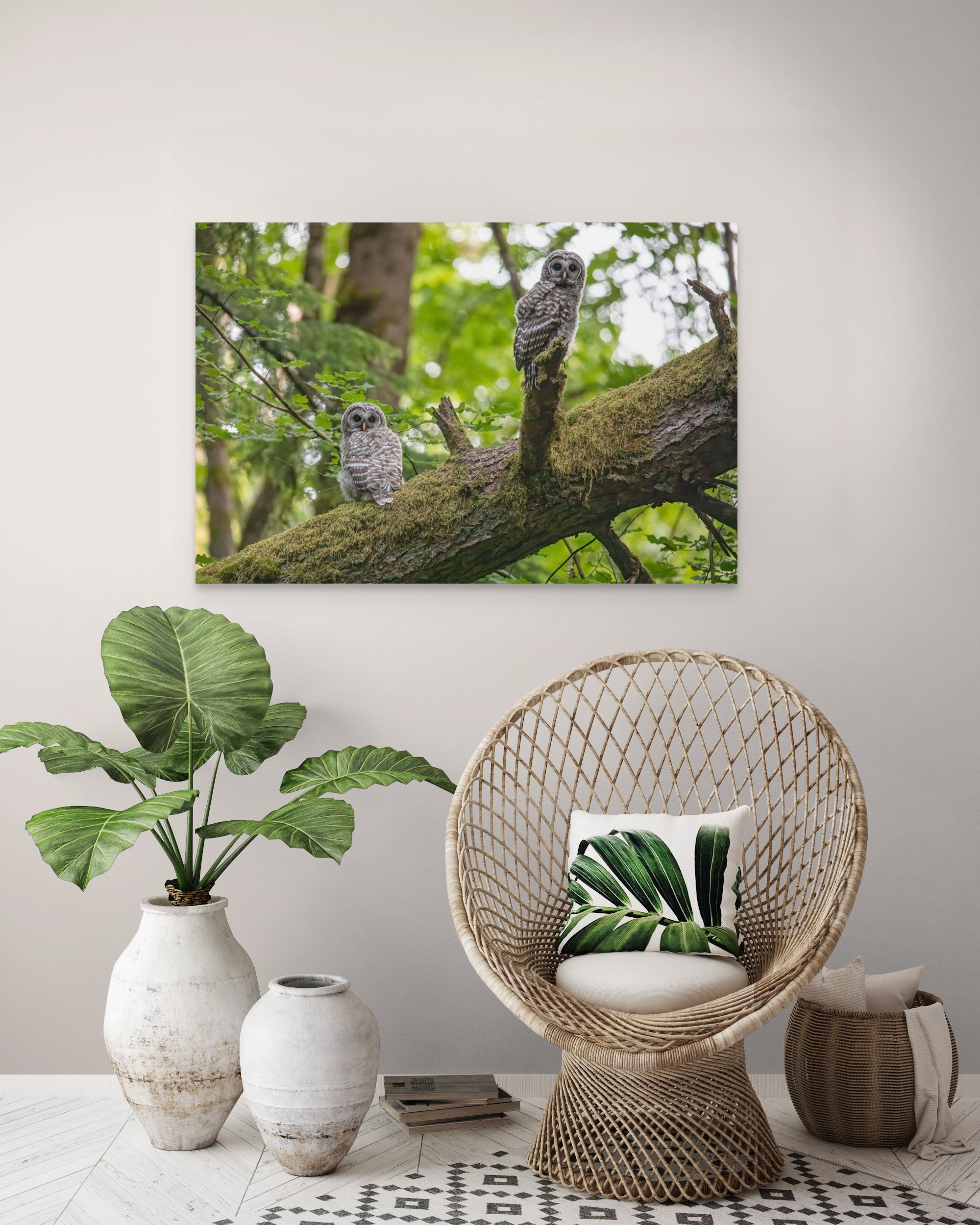 Owlets 24x36"