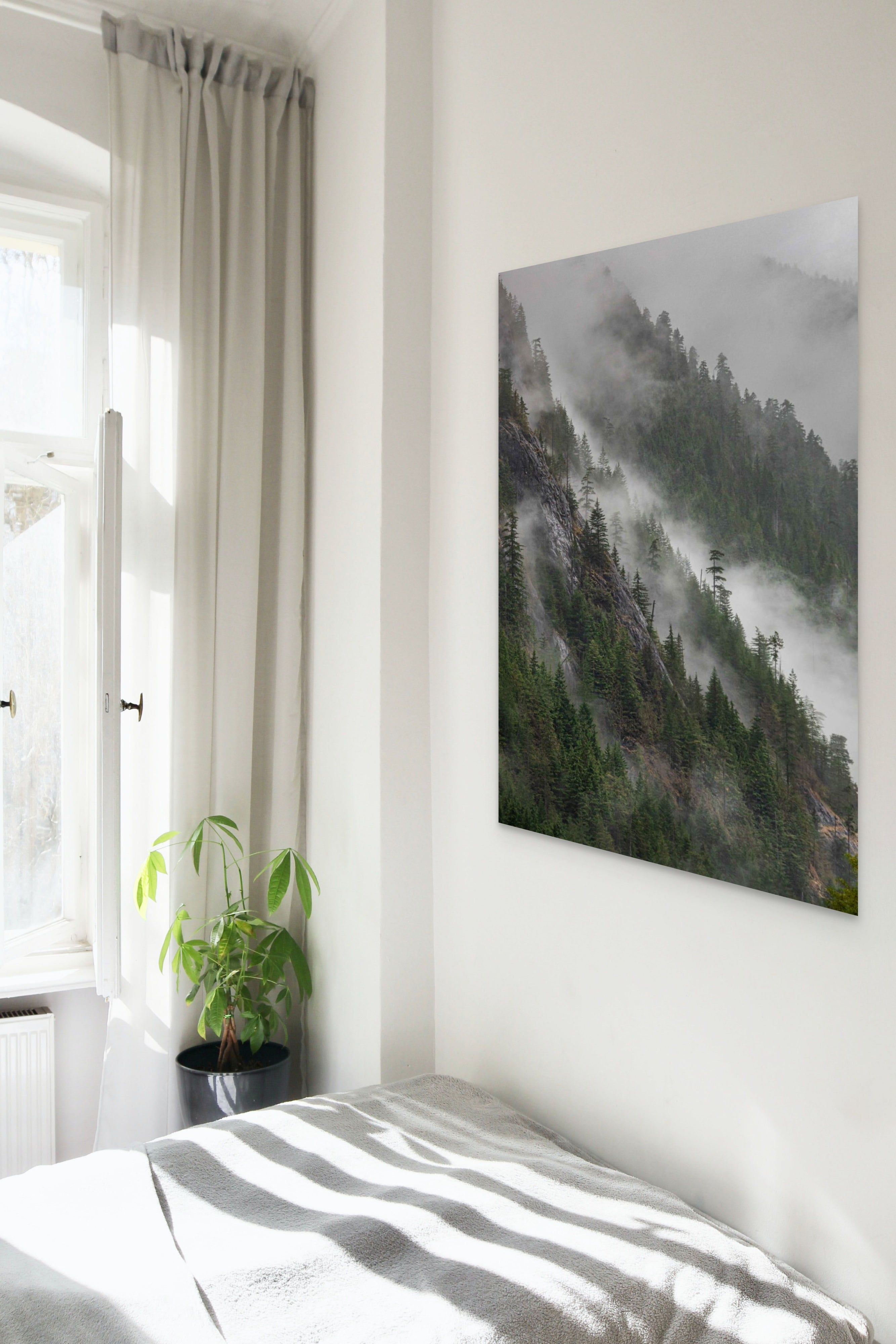 Mist on the Mountain 24x36"