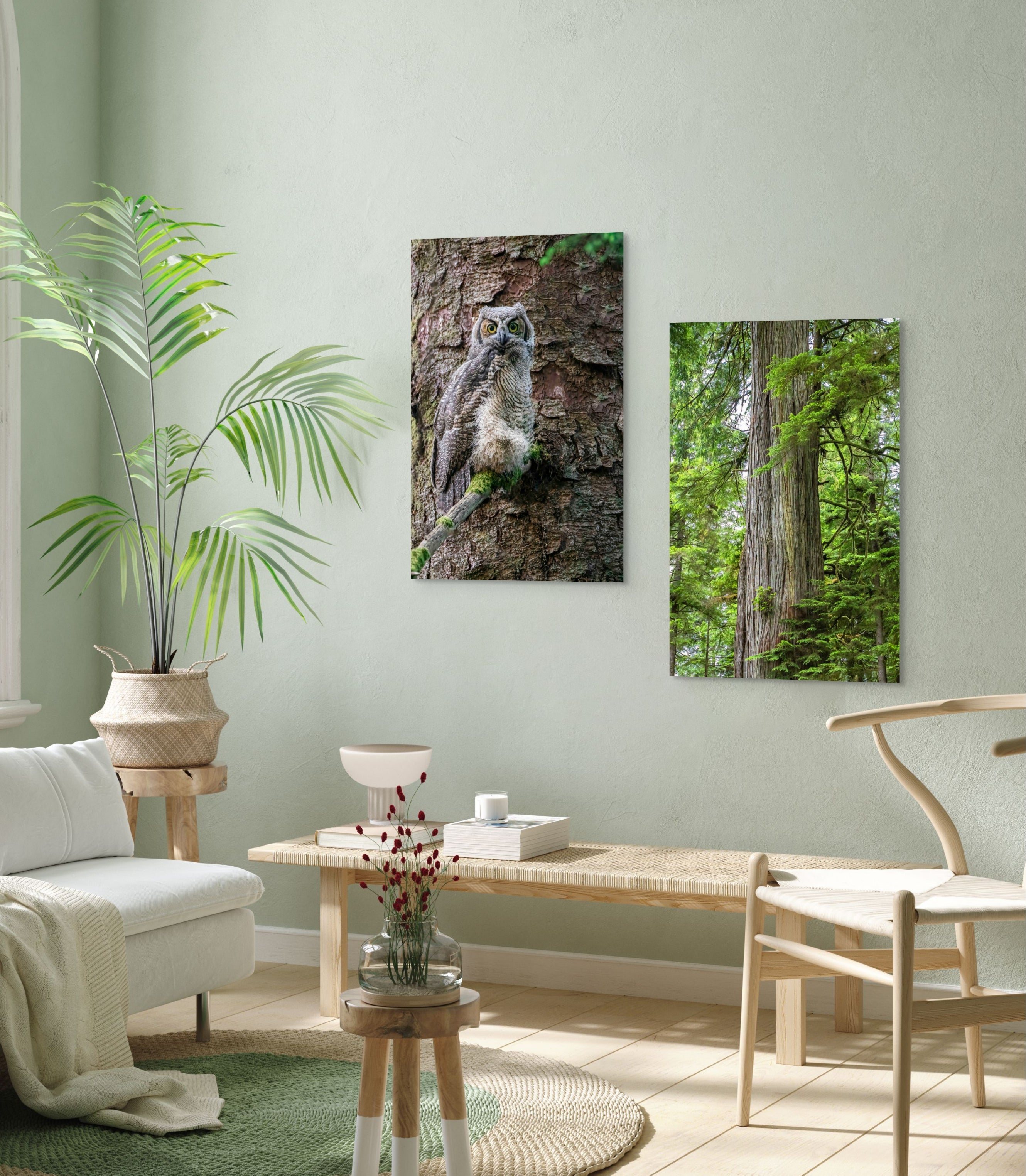 Great Horned Owlet 24x36"