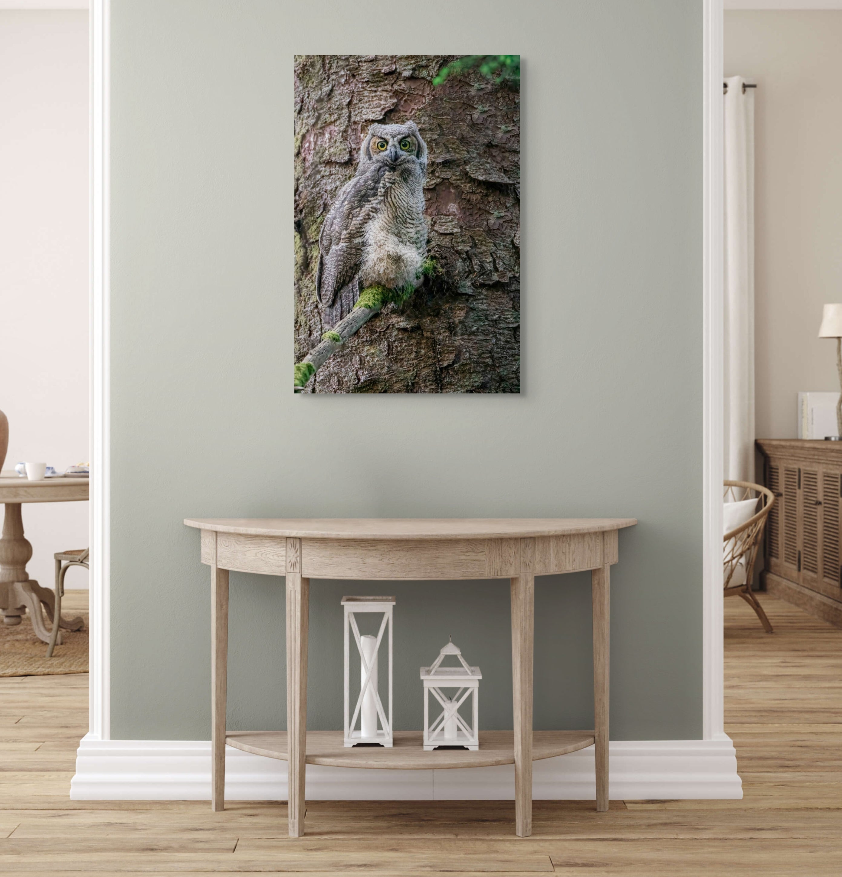 Great Horned Owlet 24x36"