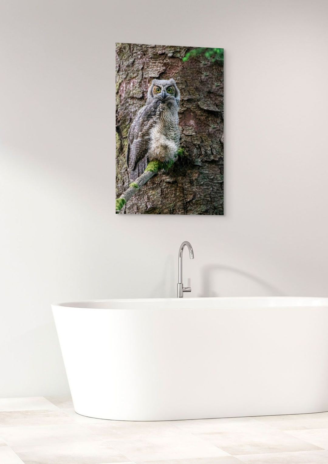 Great Horned Owlet 24x36"