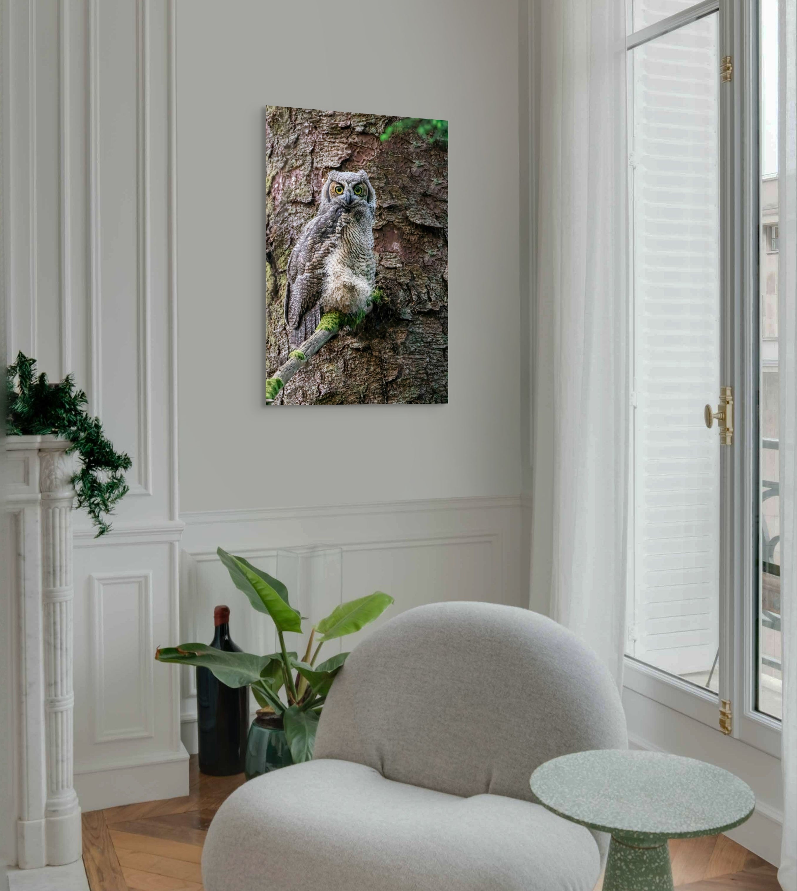 Great Horned Owlet 24x36"