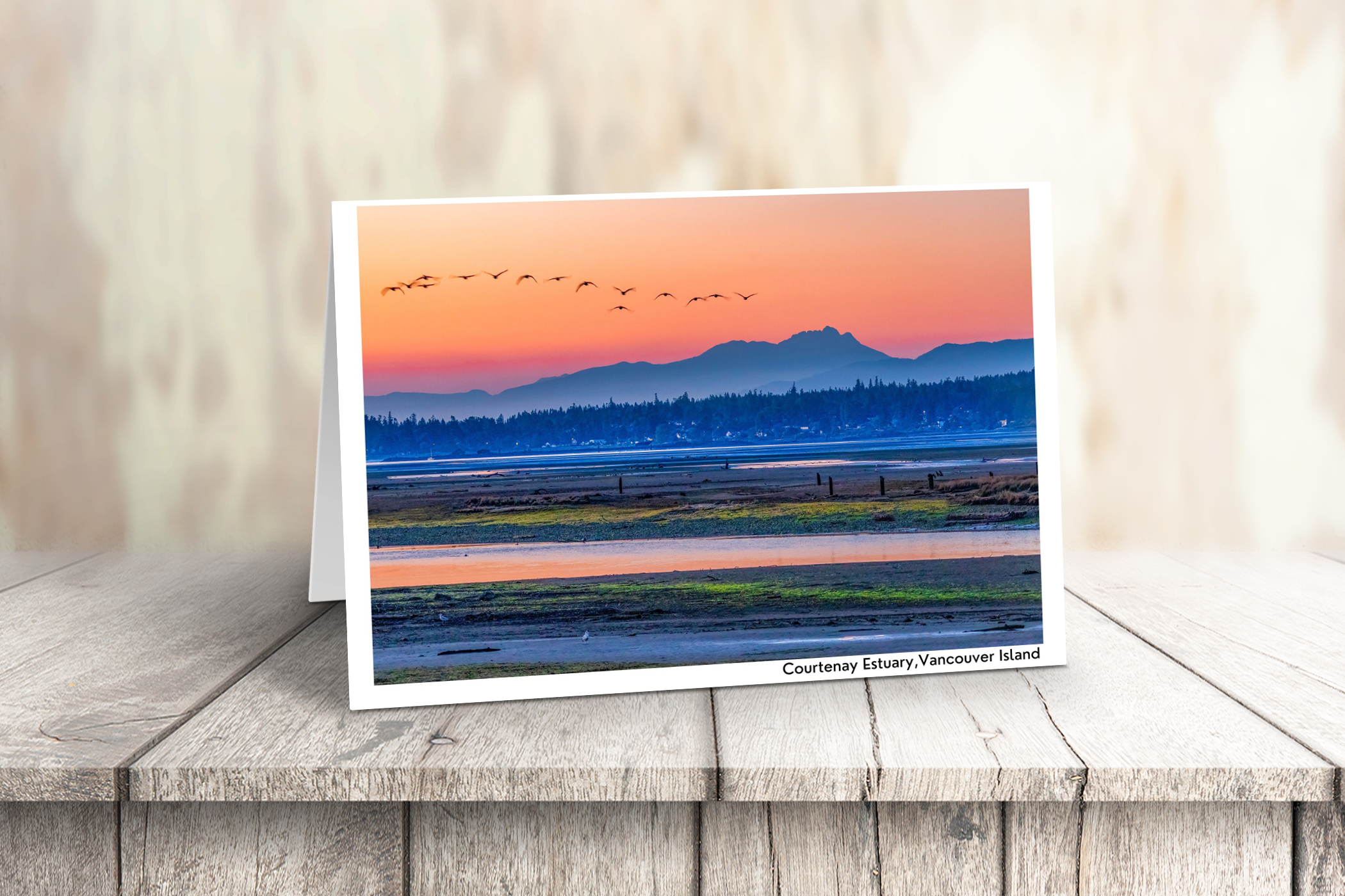 Vancouver Island Art Cards - Box of 10
