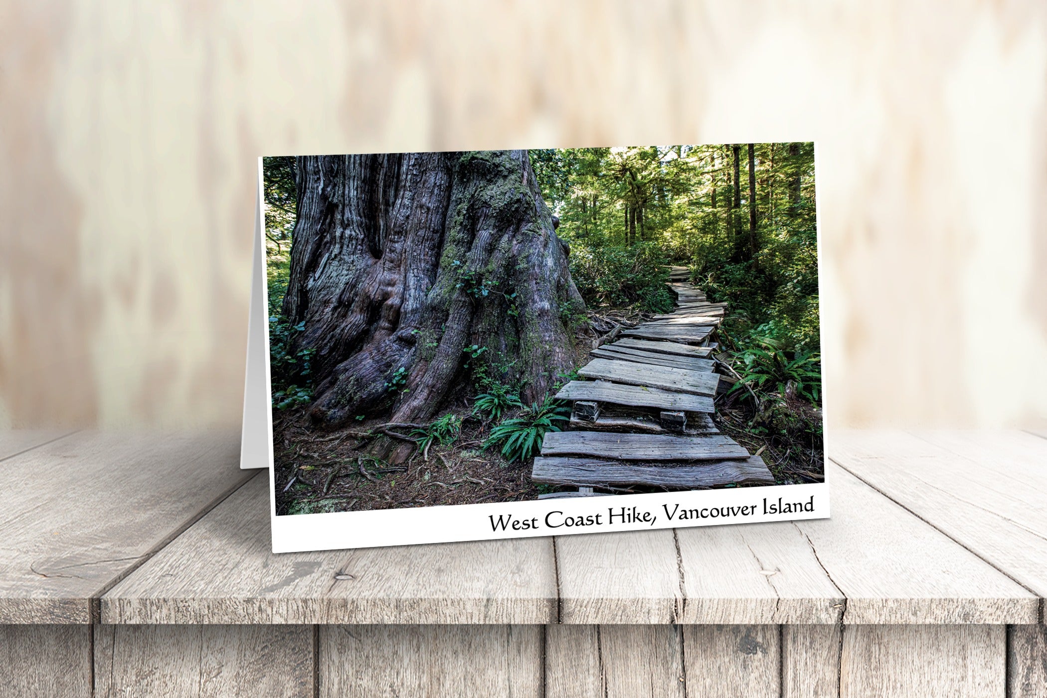 Vancouver Island Art Cards - Box of 10