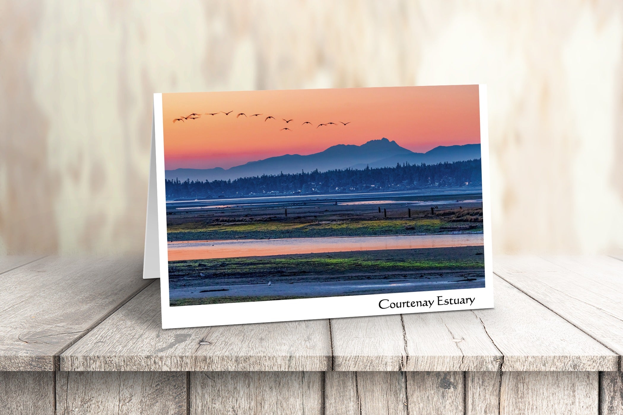 Comox Valley Art Cards - Box of 10