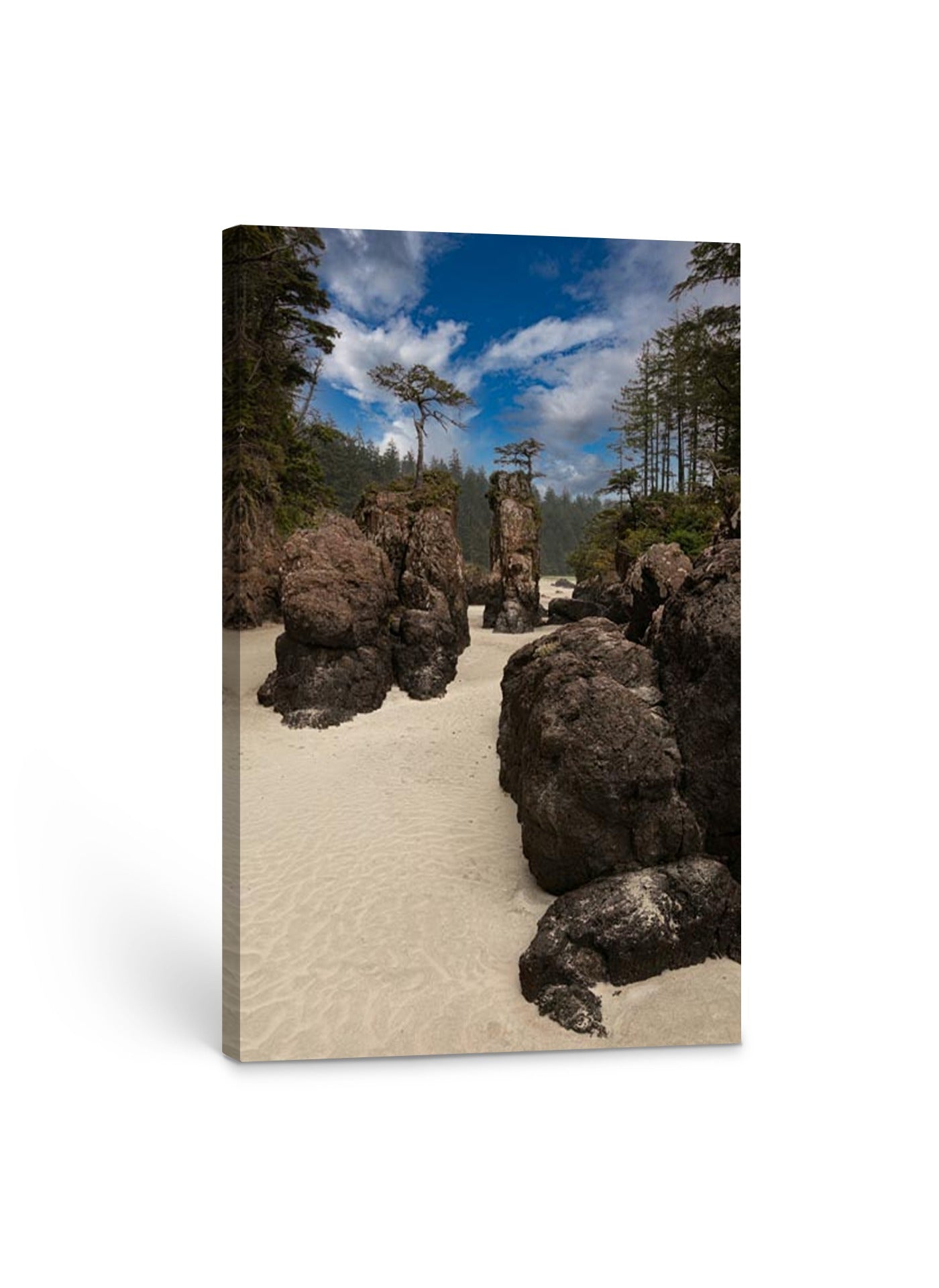 San Josef Bay Sea Stacks (portrait) 24x36"