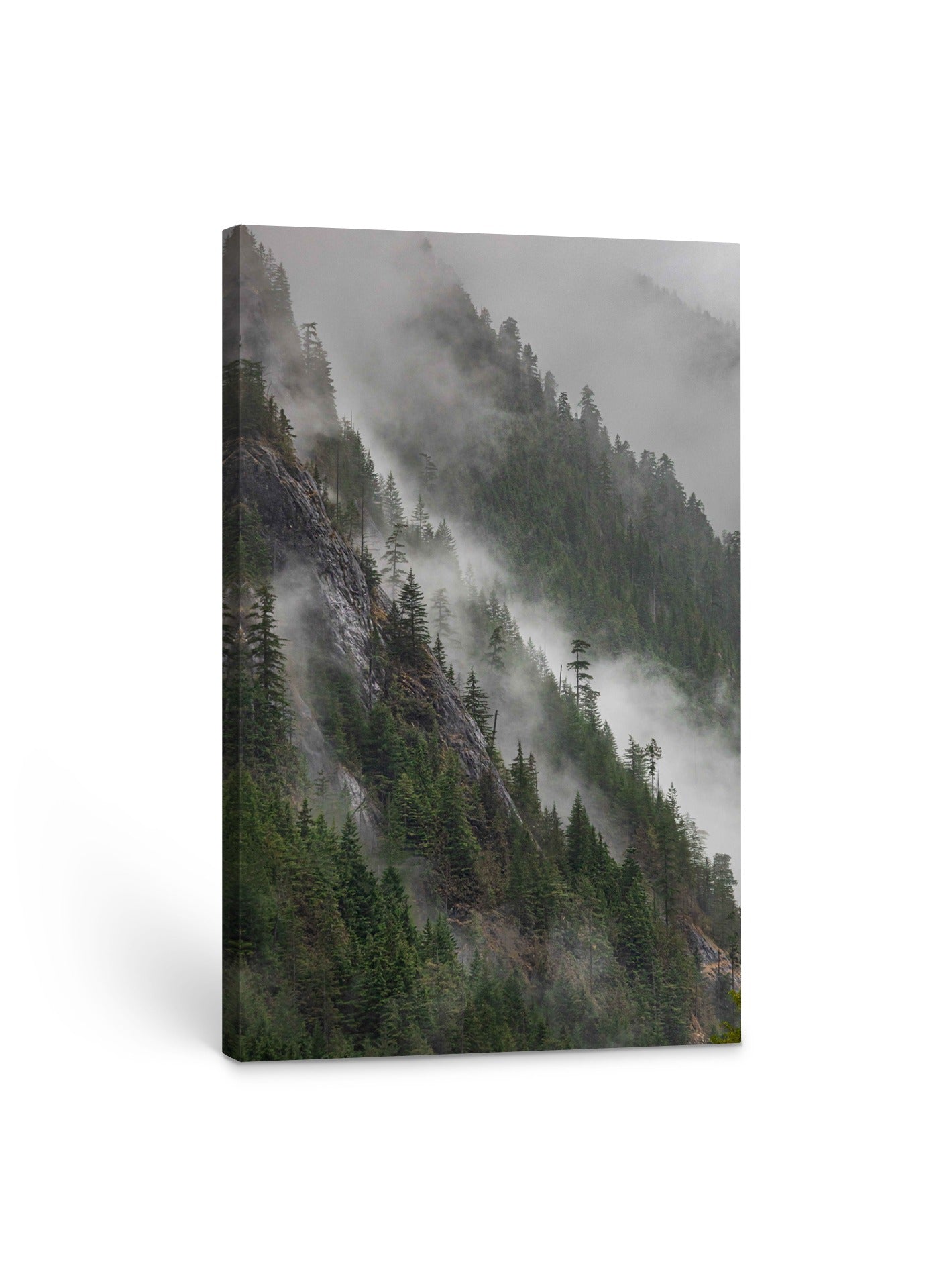 Mist on the Mountain 24x36"