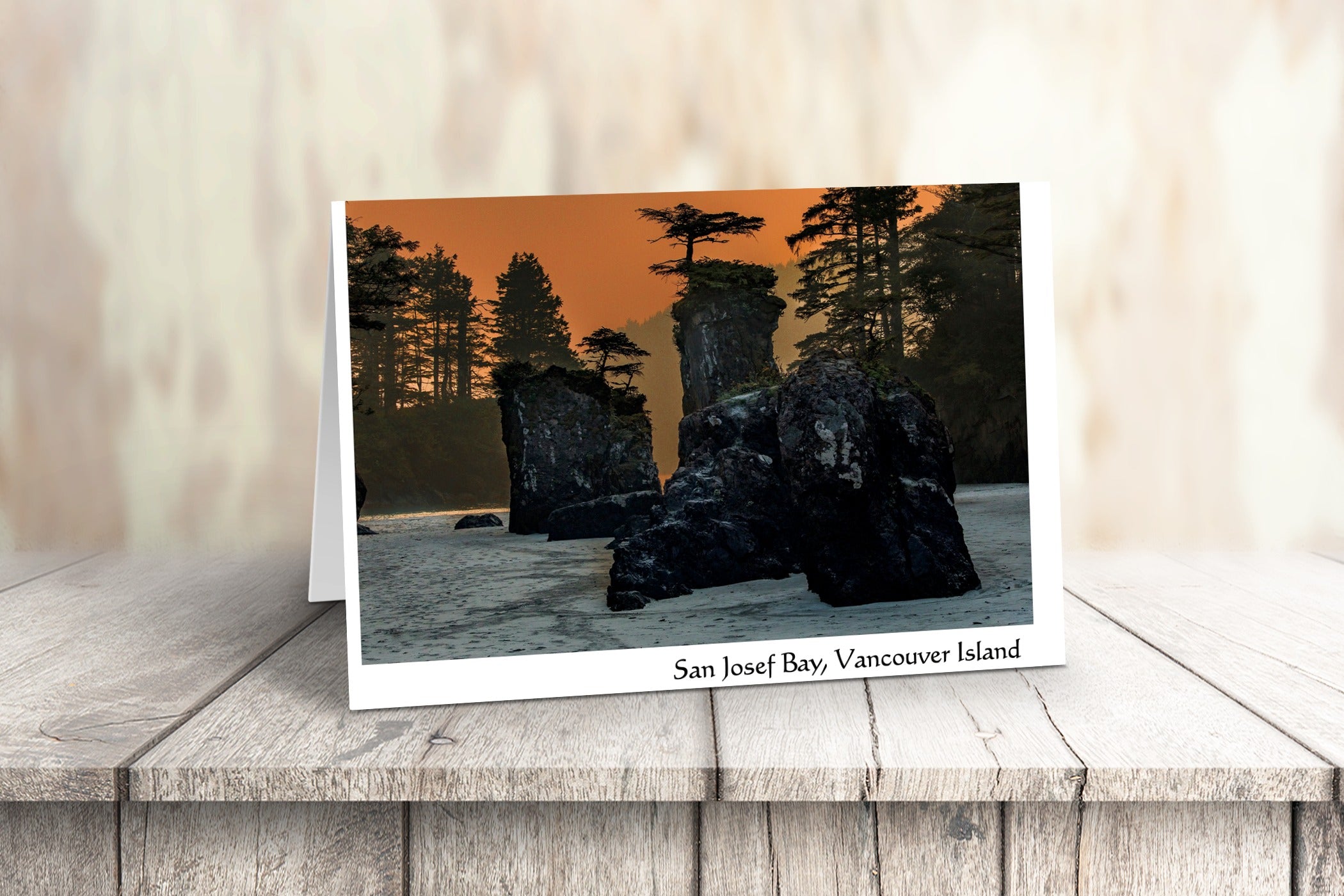 Vancouver Island Art Cards - Box of 10
