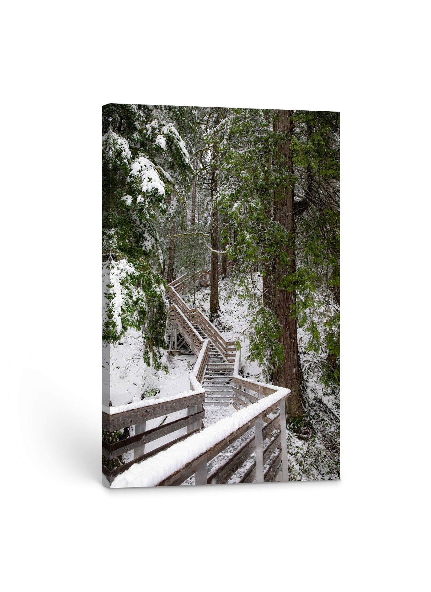 Winter Forest Path, Elk Falls 24x36"