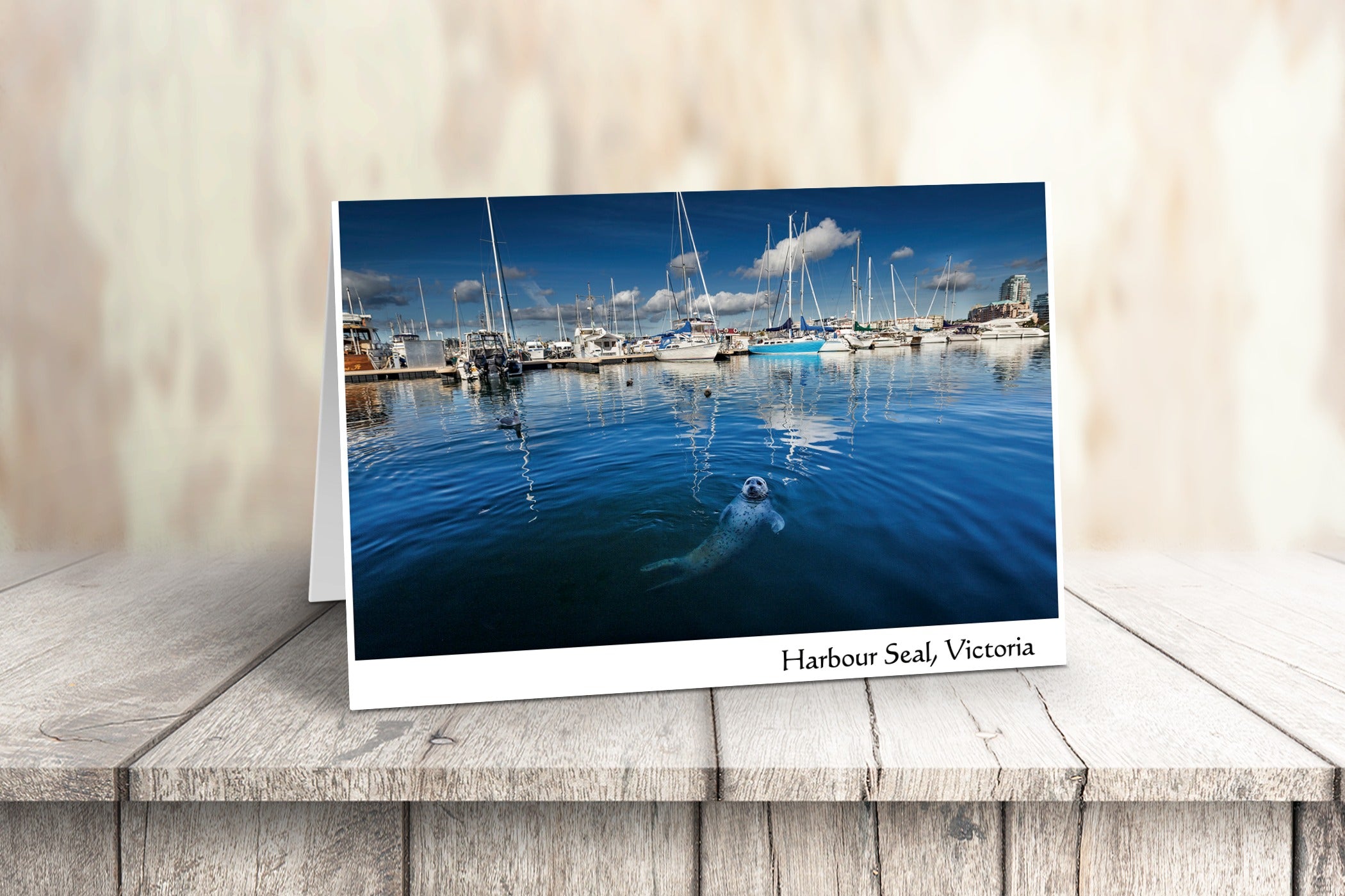 Vancouver Island Art Cards - Box of 10