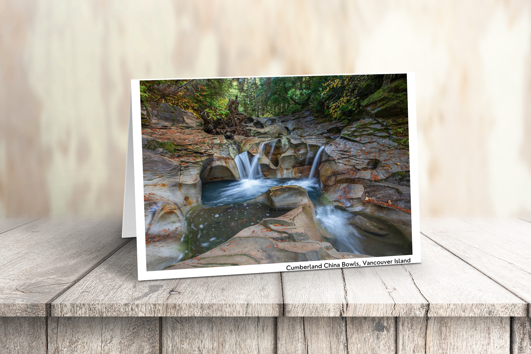 Vancouver Island Art Cards - Box of 10