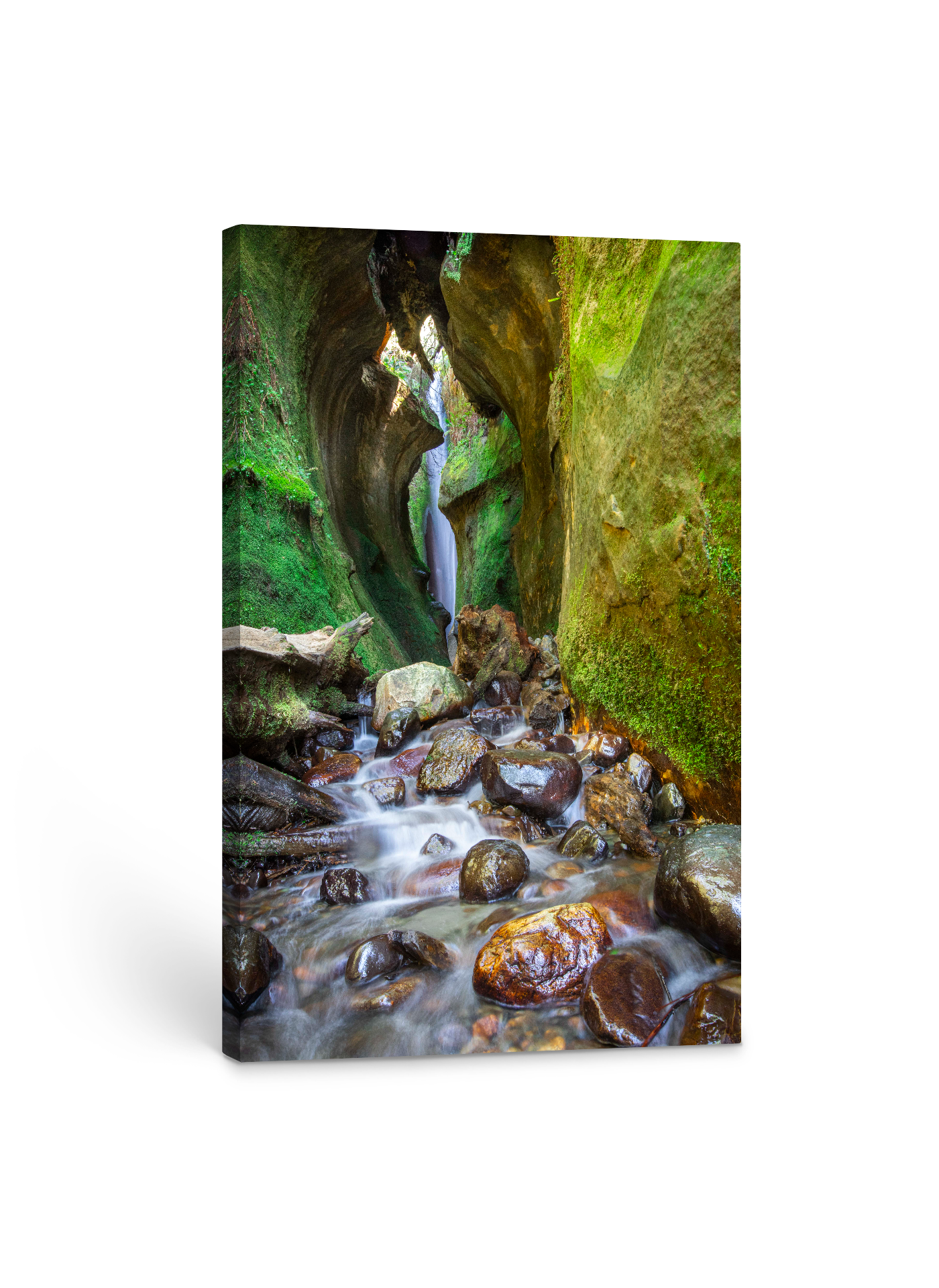 Hidden Sombrio Waterfall 40x60"