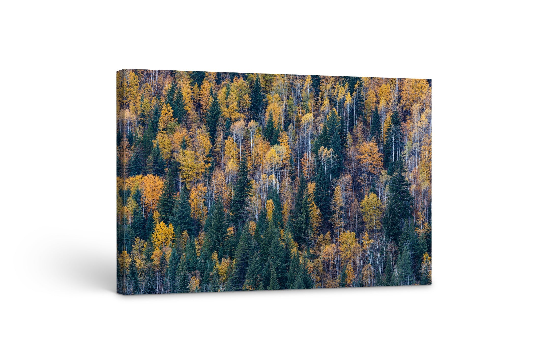 Autumn Palette 40x60"