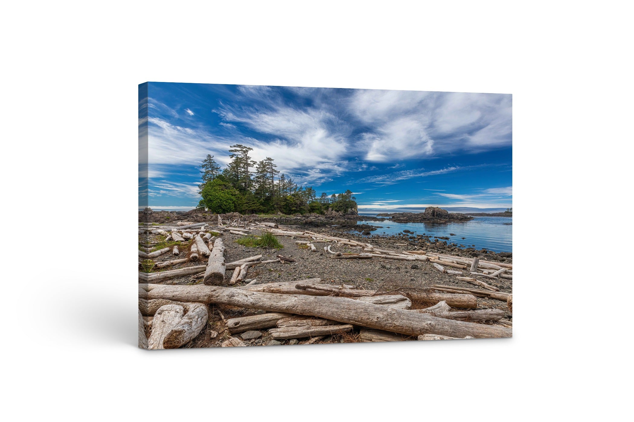 Wild Pacific Trail Driftwood 24x36"