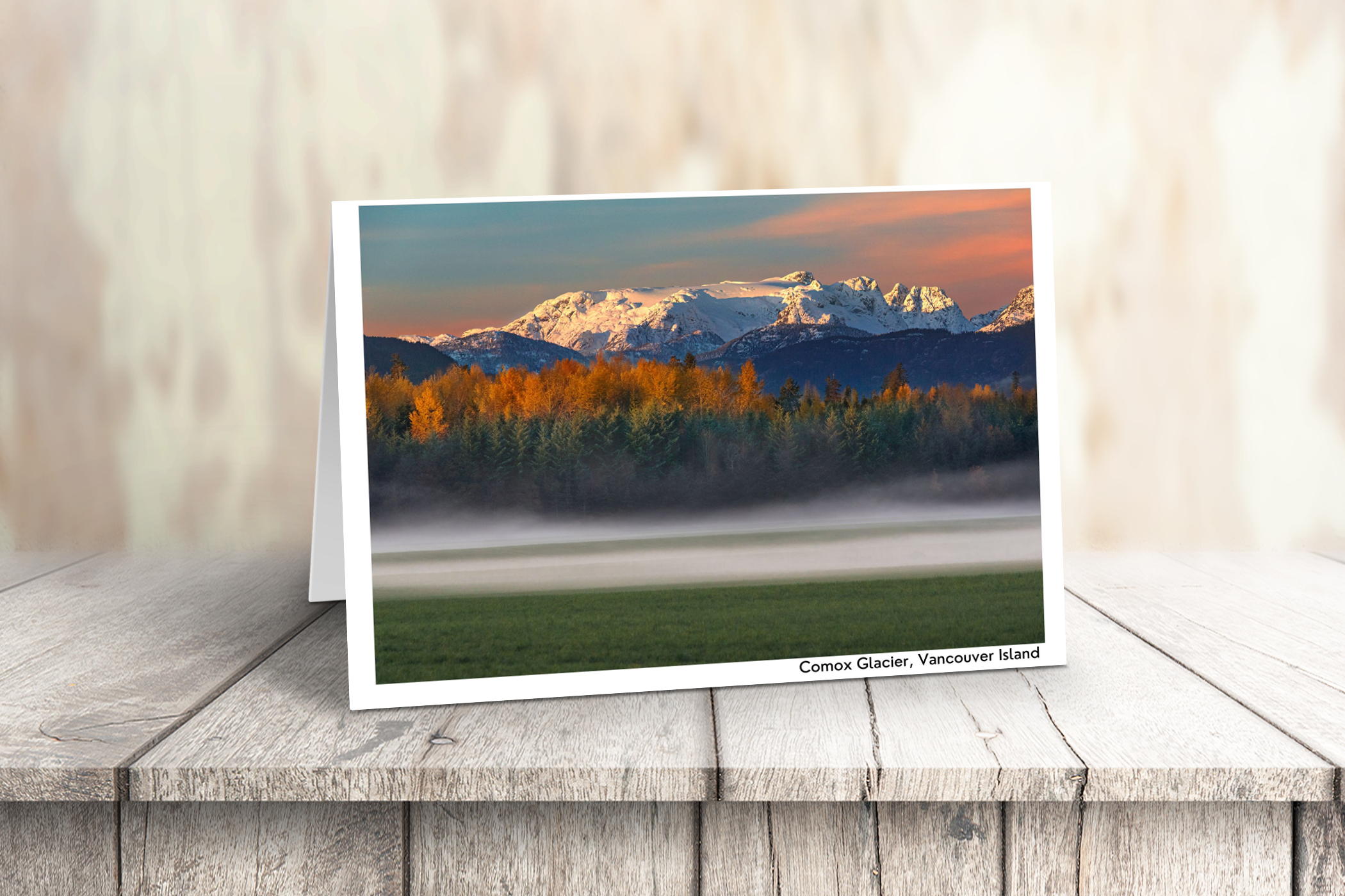 Vancouver Island Art Cards - Box of 10