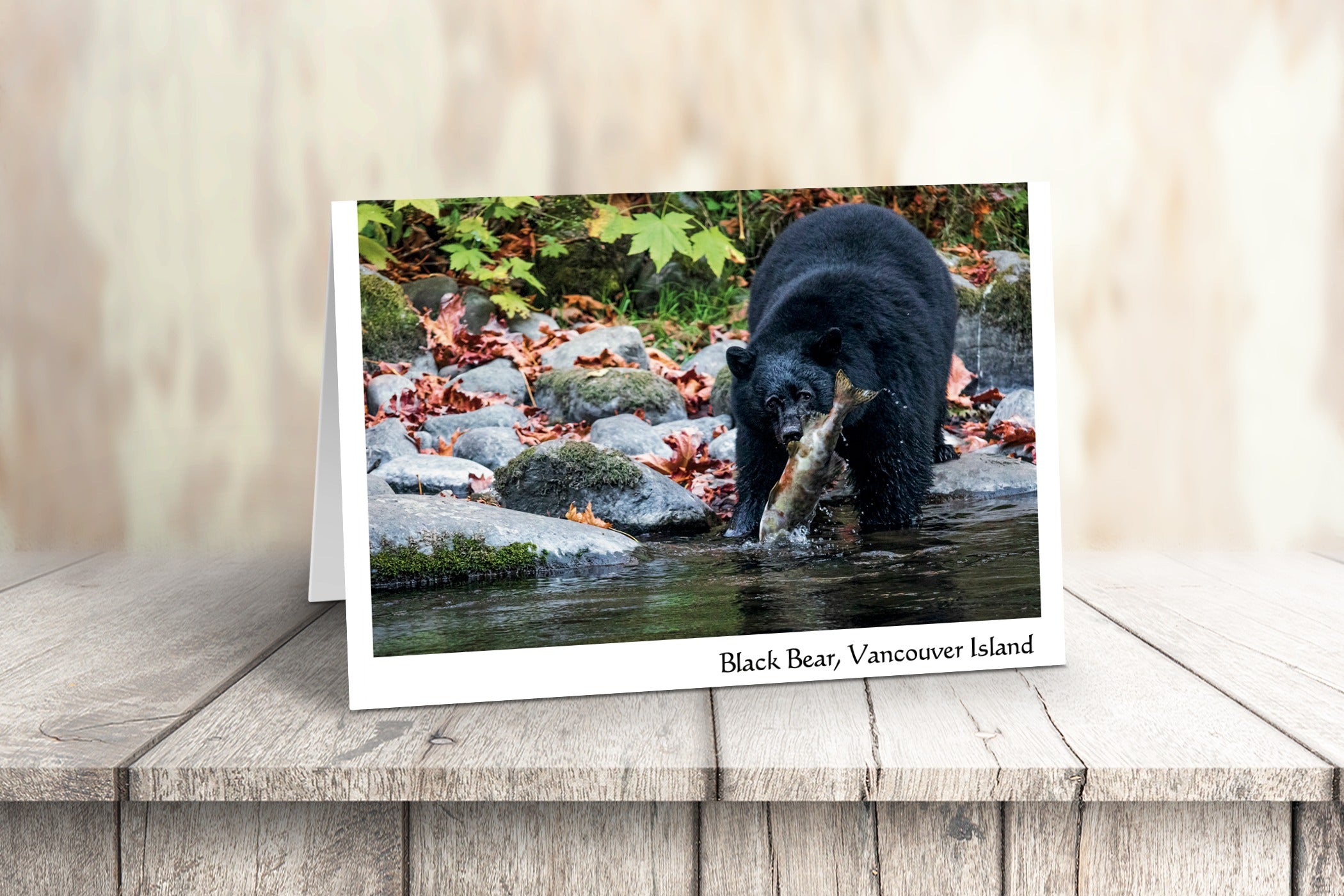 Vancouver Island Art Cards - Box of 10