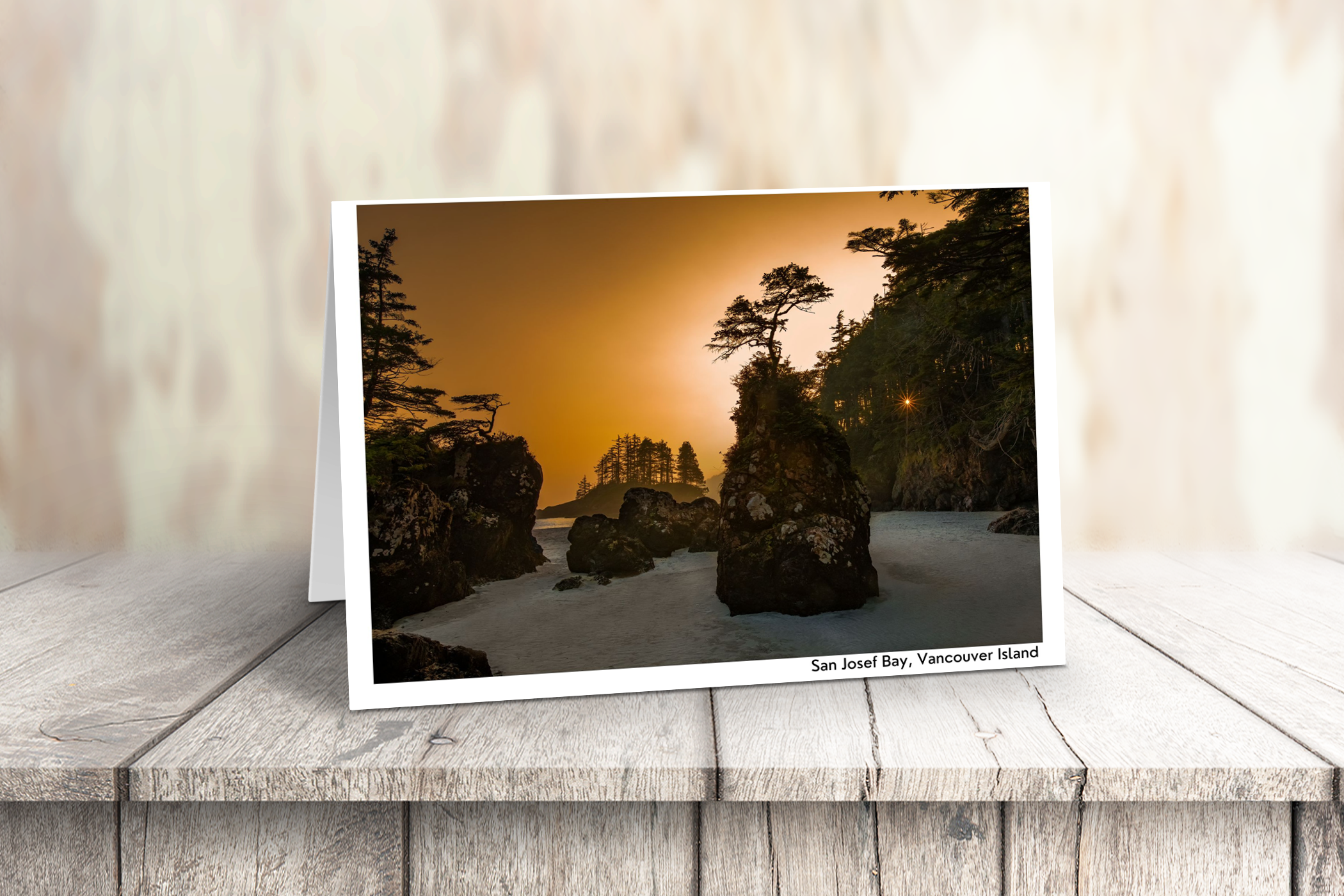 Vancouver Island Art Cards - Box of 10