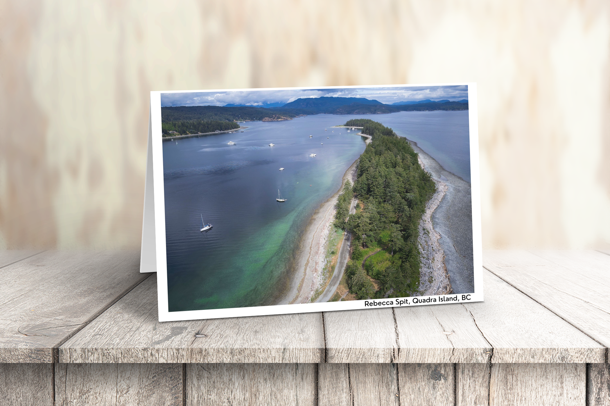 Vancouver Island Art Cards - Box of 10