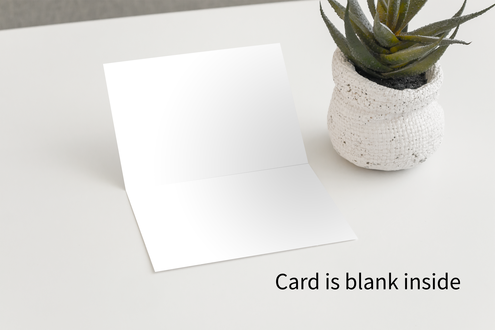 Vancouver Island Art Cards - Box of 10