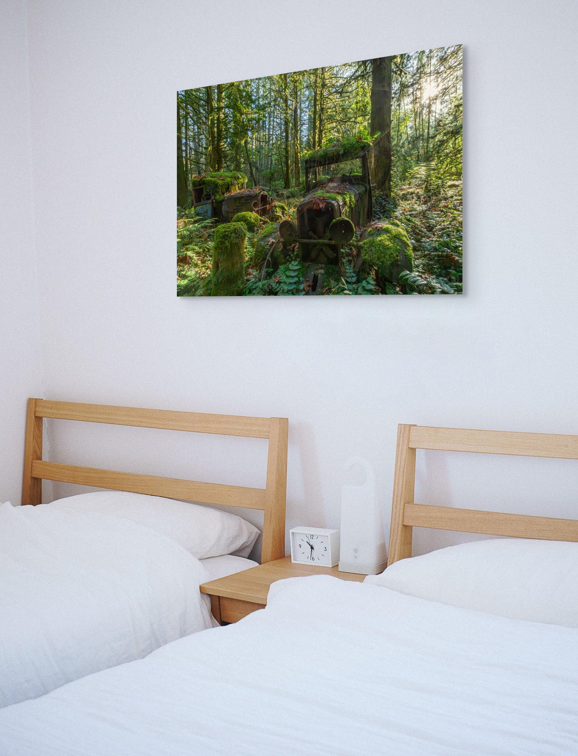 Model Ts in the Rainforest 24x36"