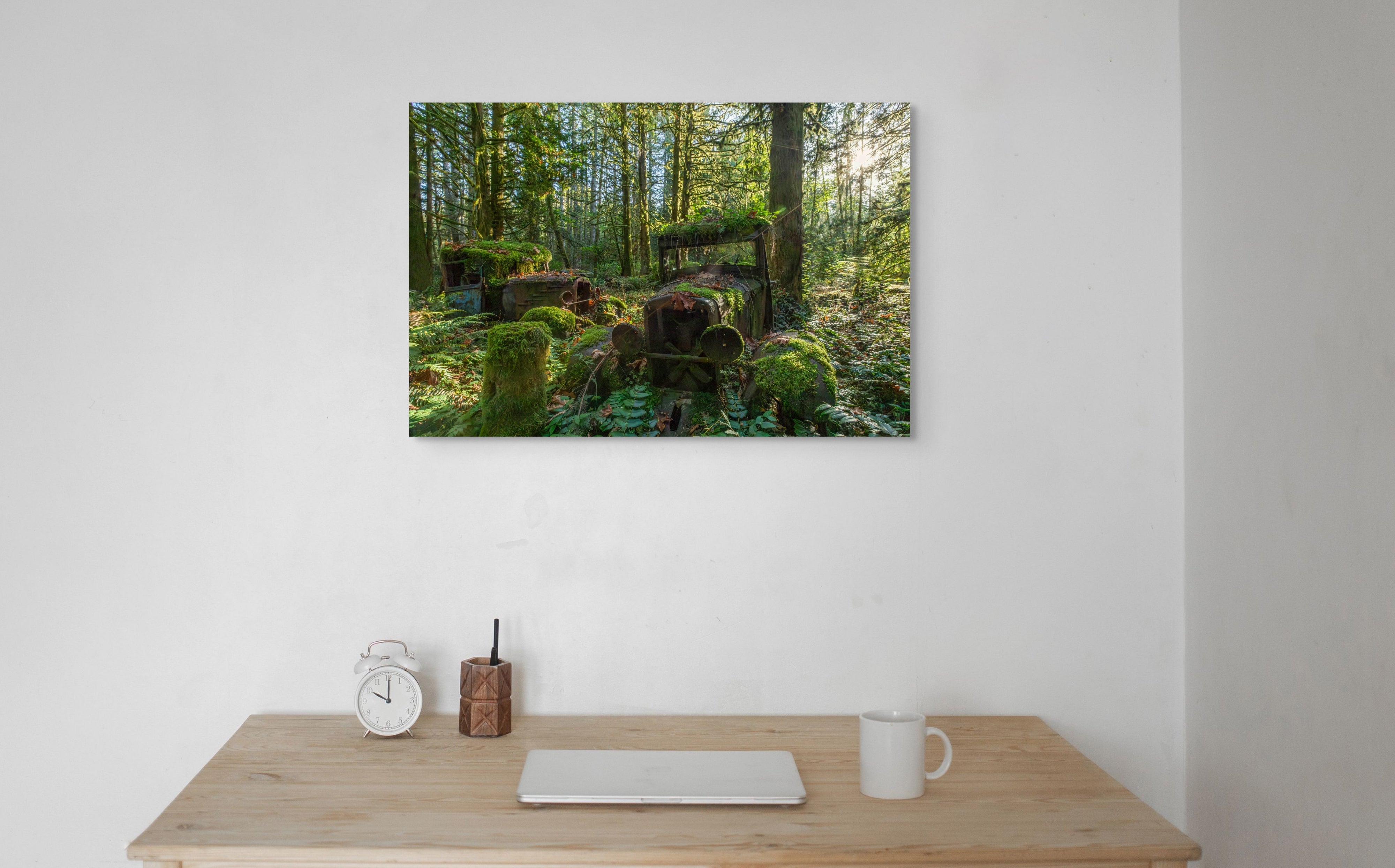 Model Ts in the Rainforest 24x36"