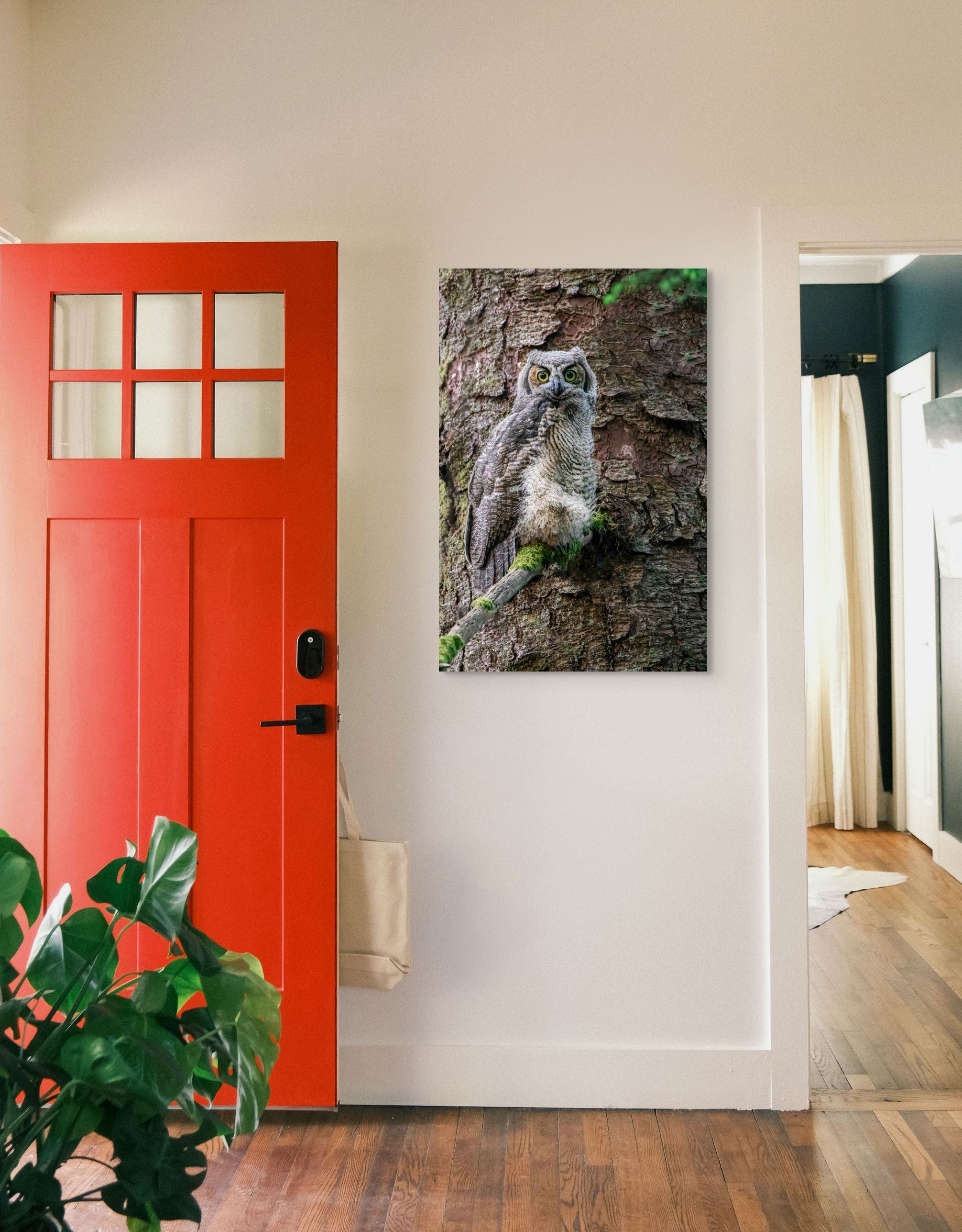 Great Horned Owlet 24x36"