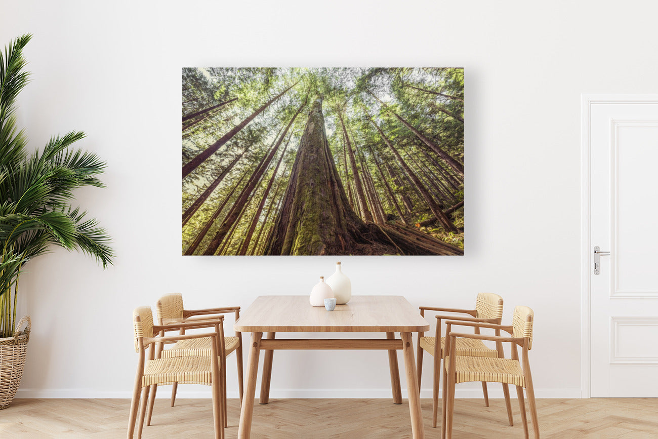 Avatar Grove 40x60"