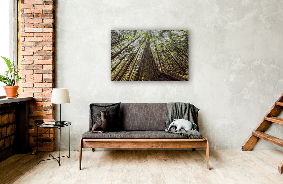 Avatar Grove 24x36"