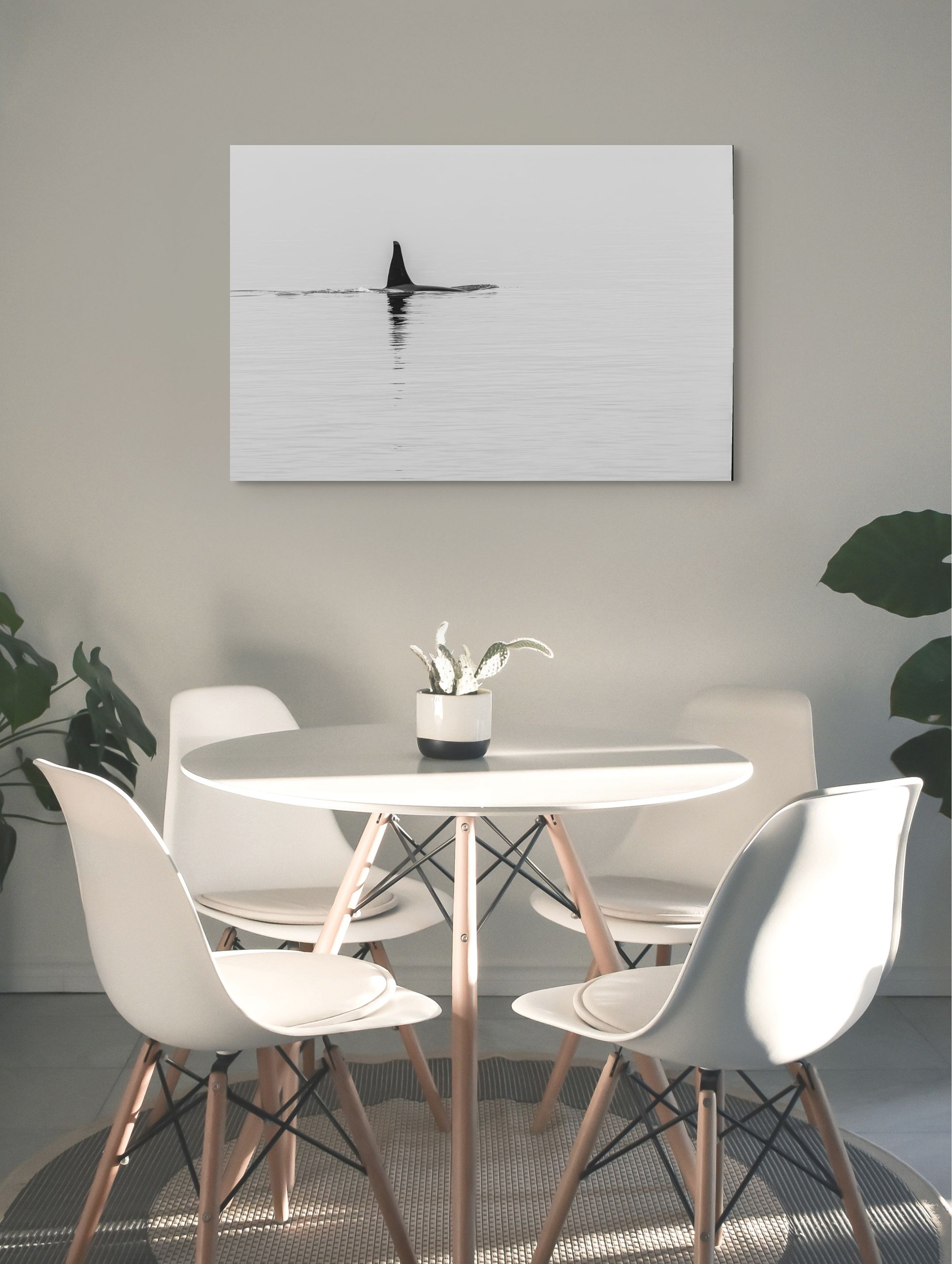 Orca Reflection 24x36"