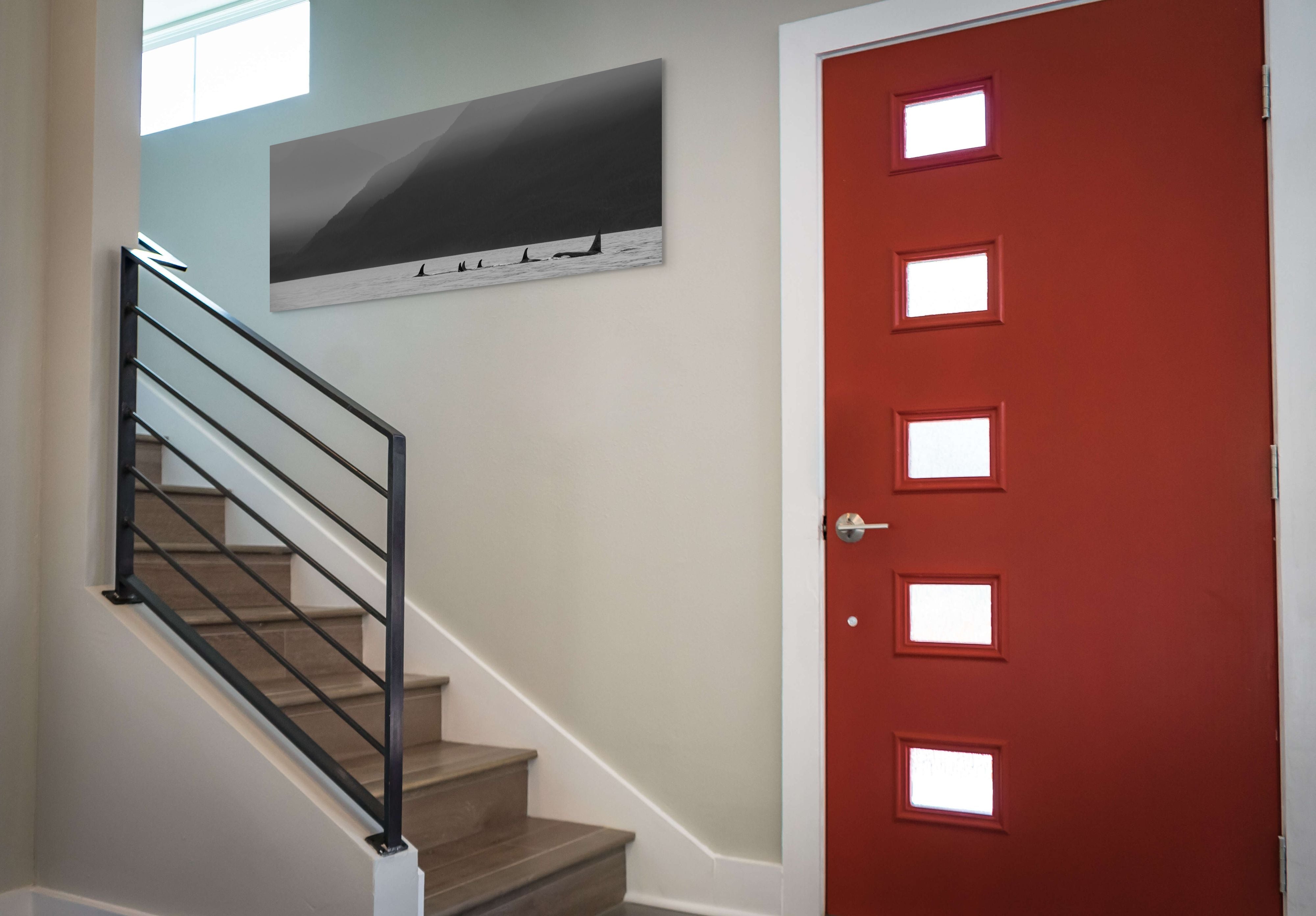 Orcas in the Mist Panorama 24x60"