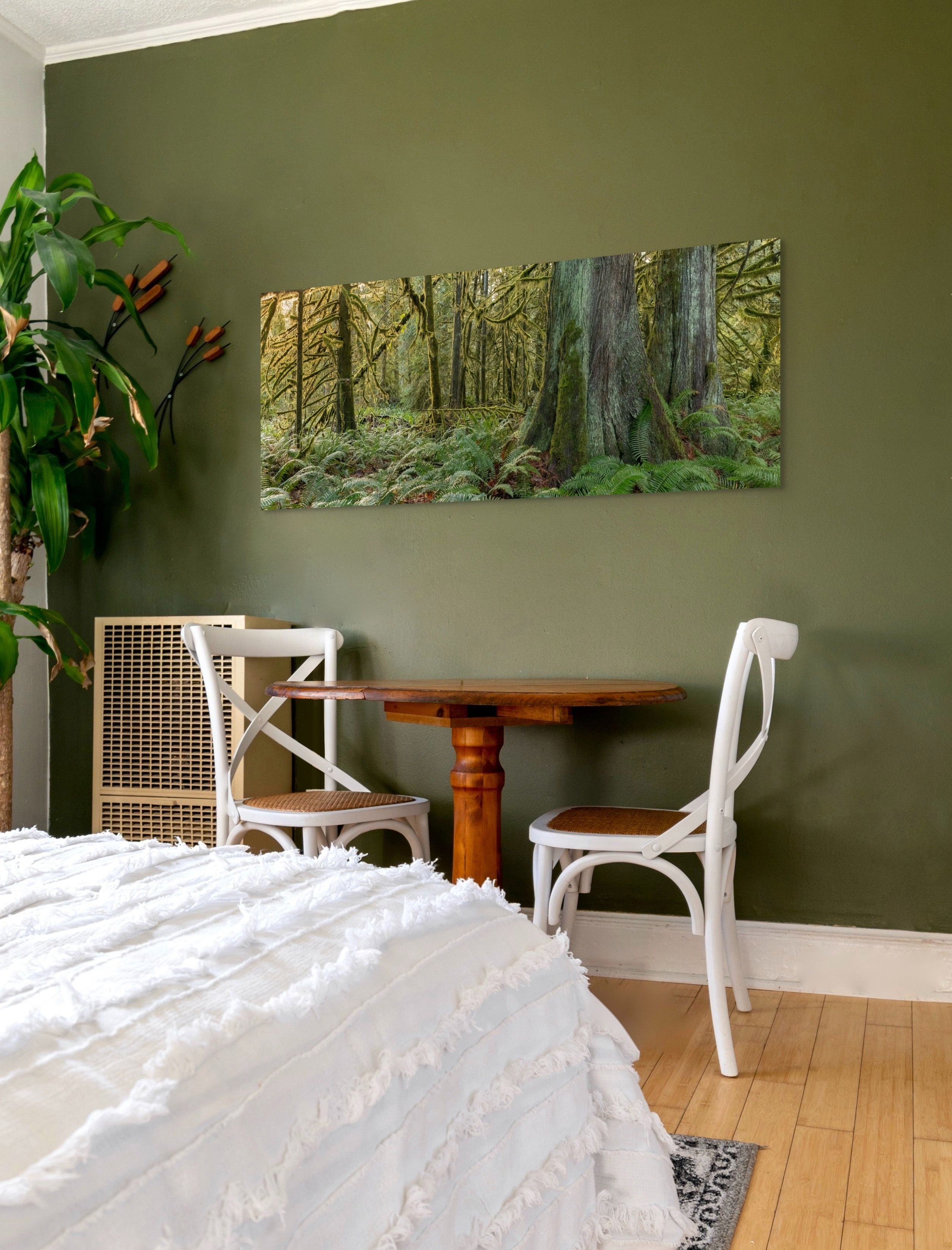 Cathedral Grove Panorama 24x60"