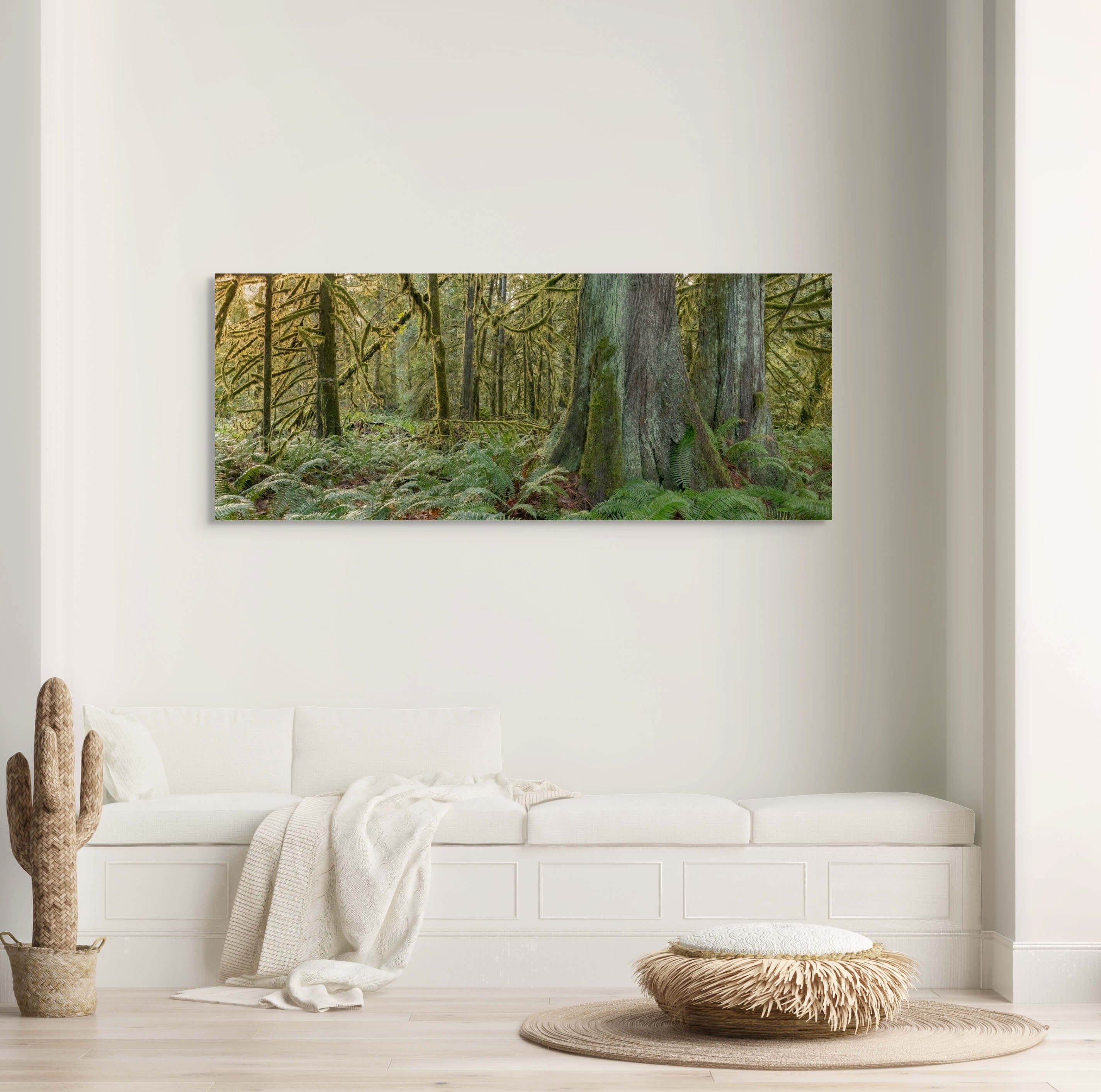 Cathedral Grove Panorama 24x60"