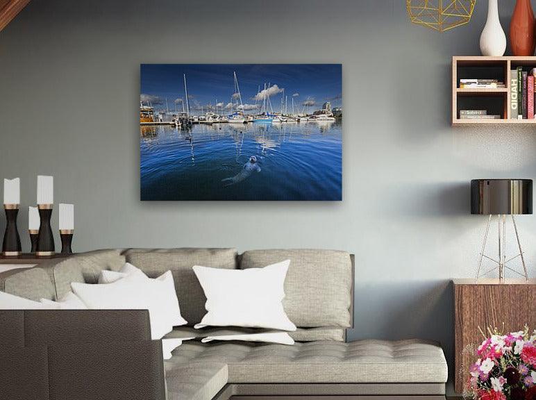 Harbour Seal 24x36"
