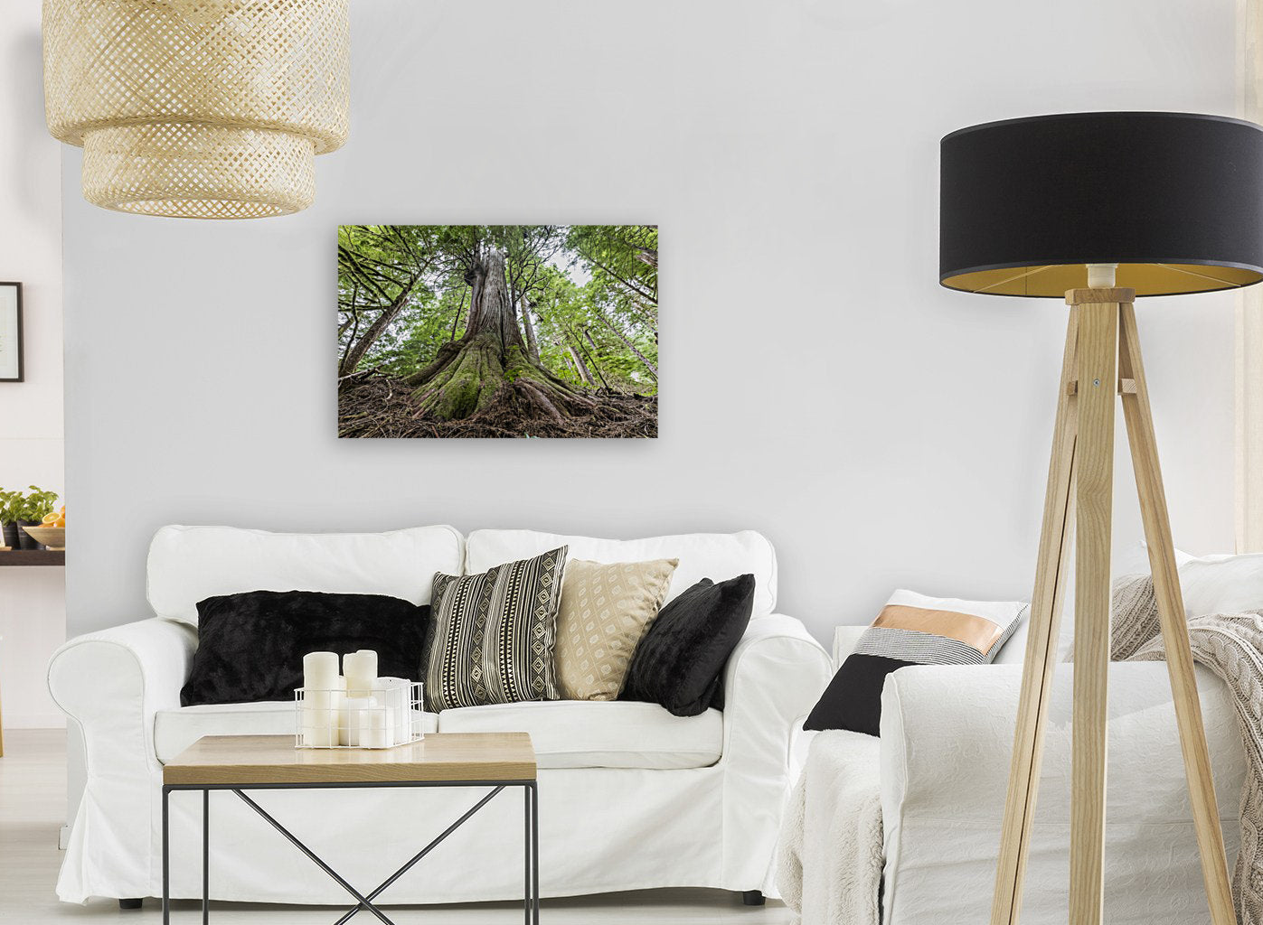 Lone Cedar 24x36"