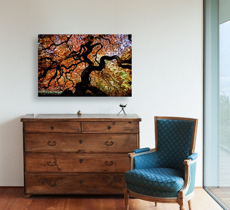 Dancing Maple 24x36"