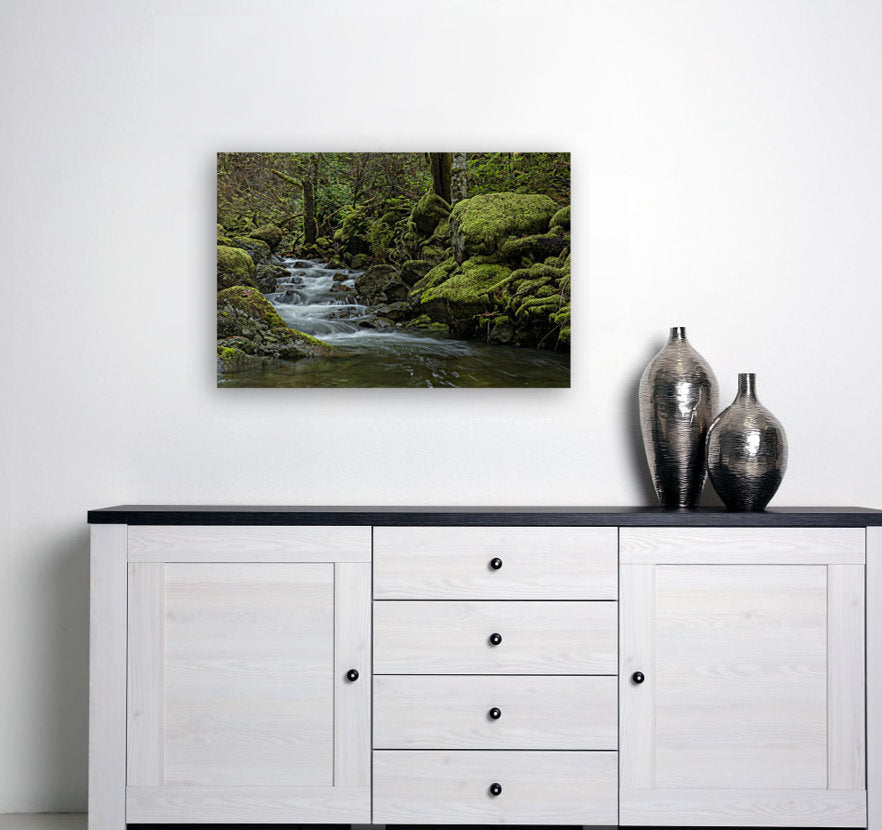 Mossy Stream 24x36"