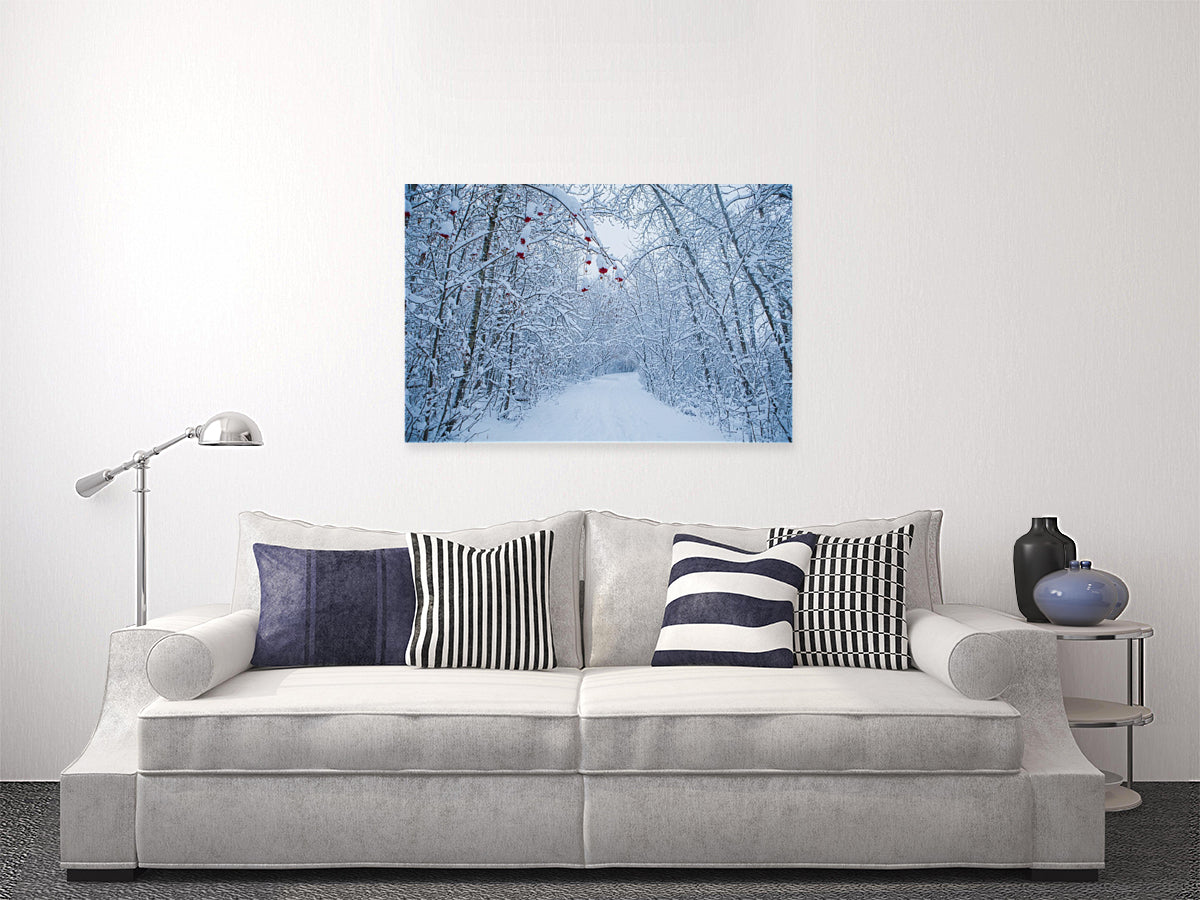 Snowy Path 24x36"