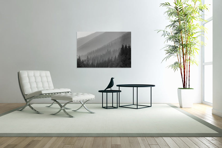 Foggy Mountains 24x36"
