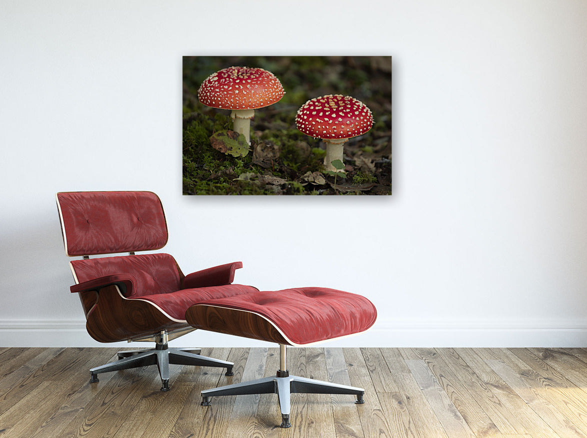 Fairy Mushrooms 24x36"
