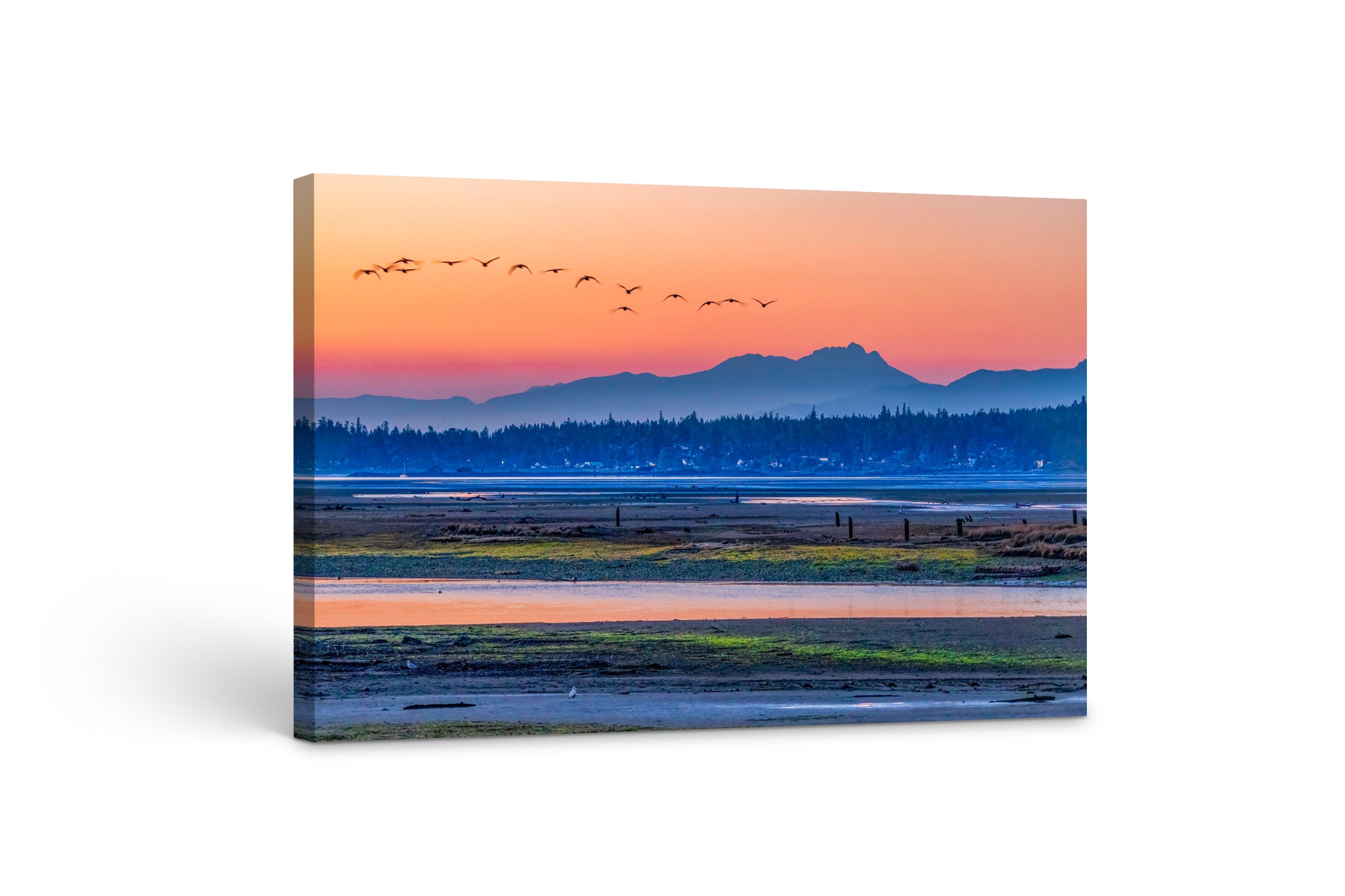 Courtenay Estuary at Dawn 40x60"