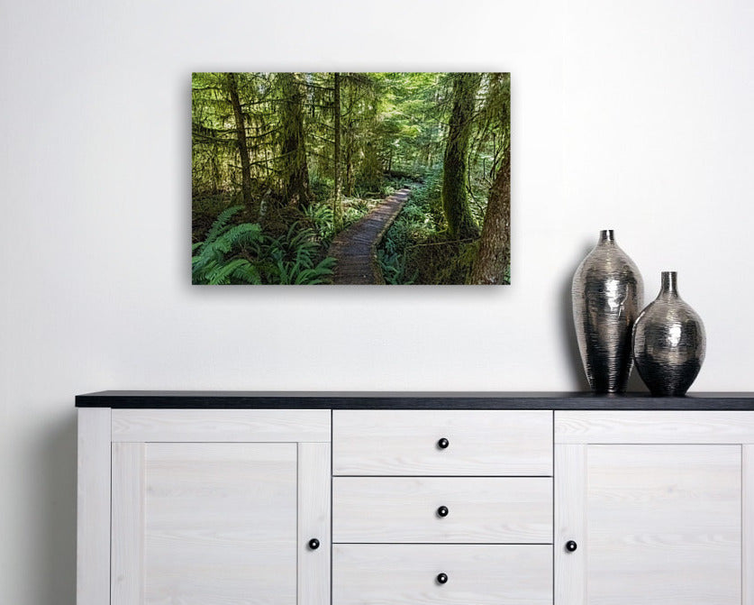 Forest Boardwalk 24x36"