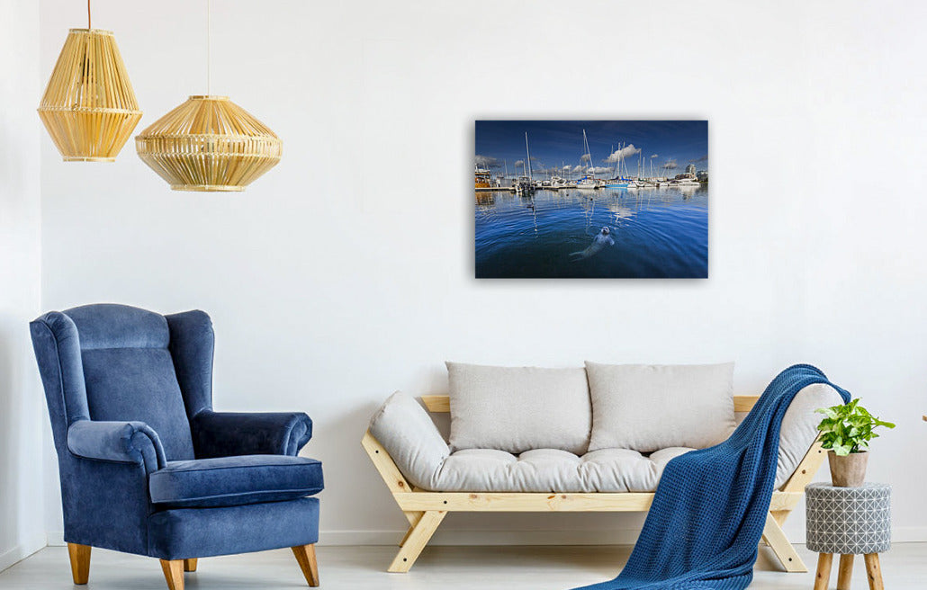 Harbour Seal 24x36"